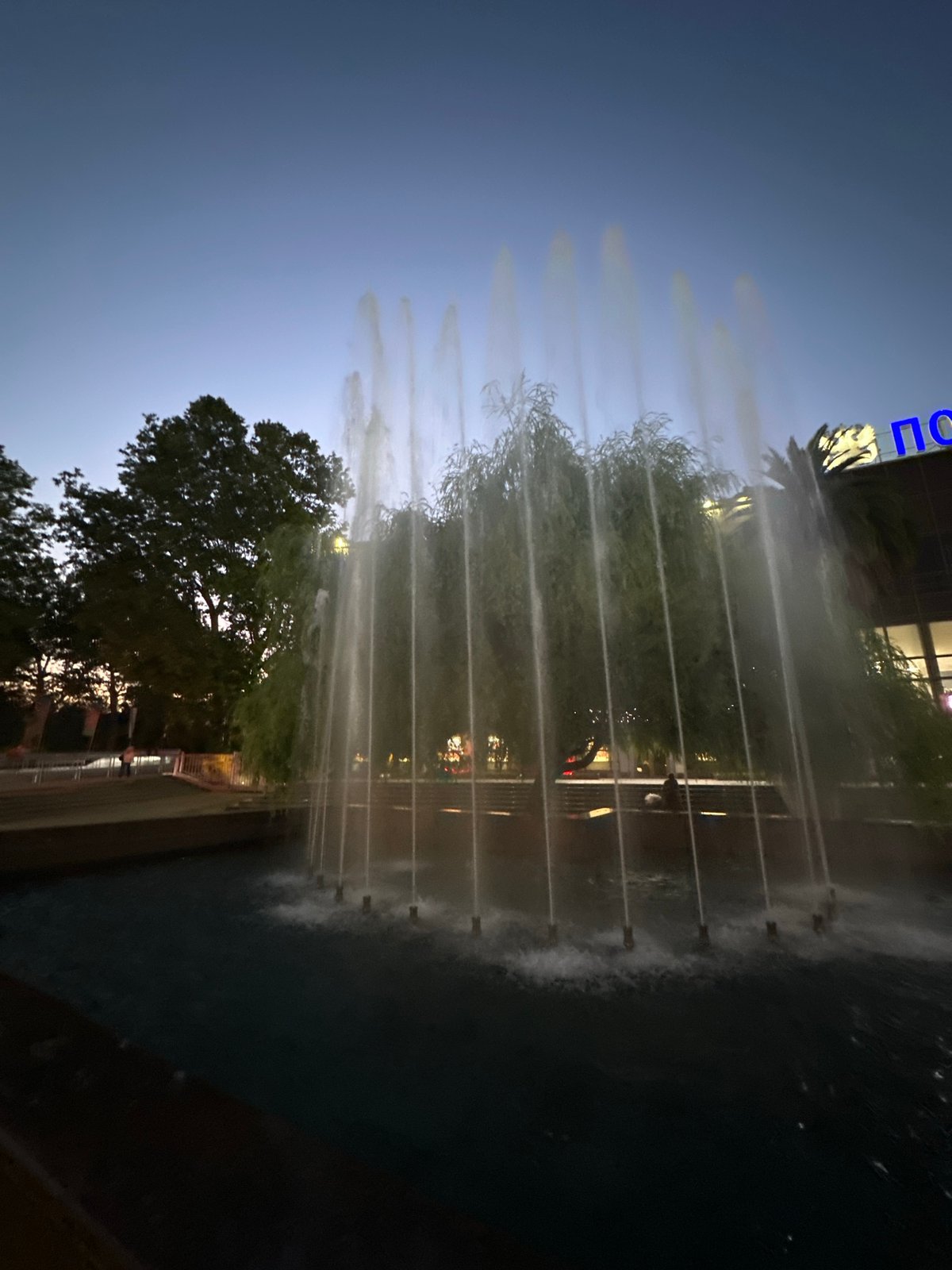 Sochi park scenes: fountains, palms, and summer flower beds