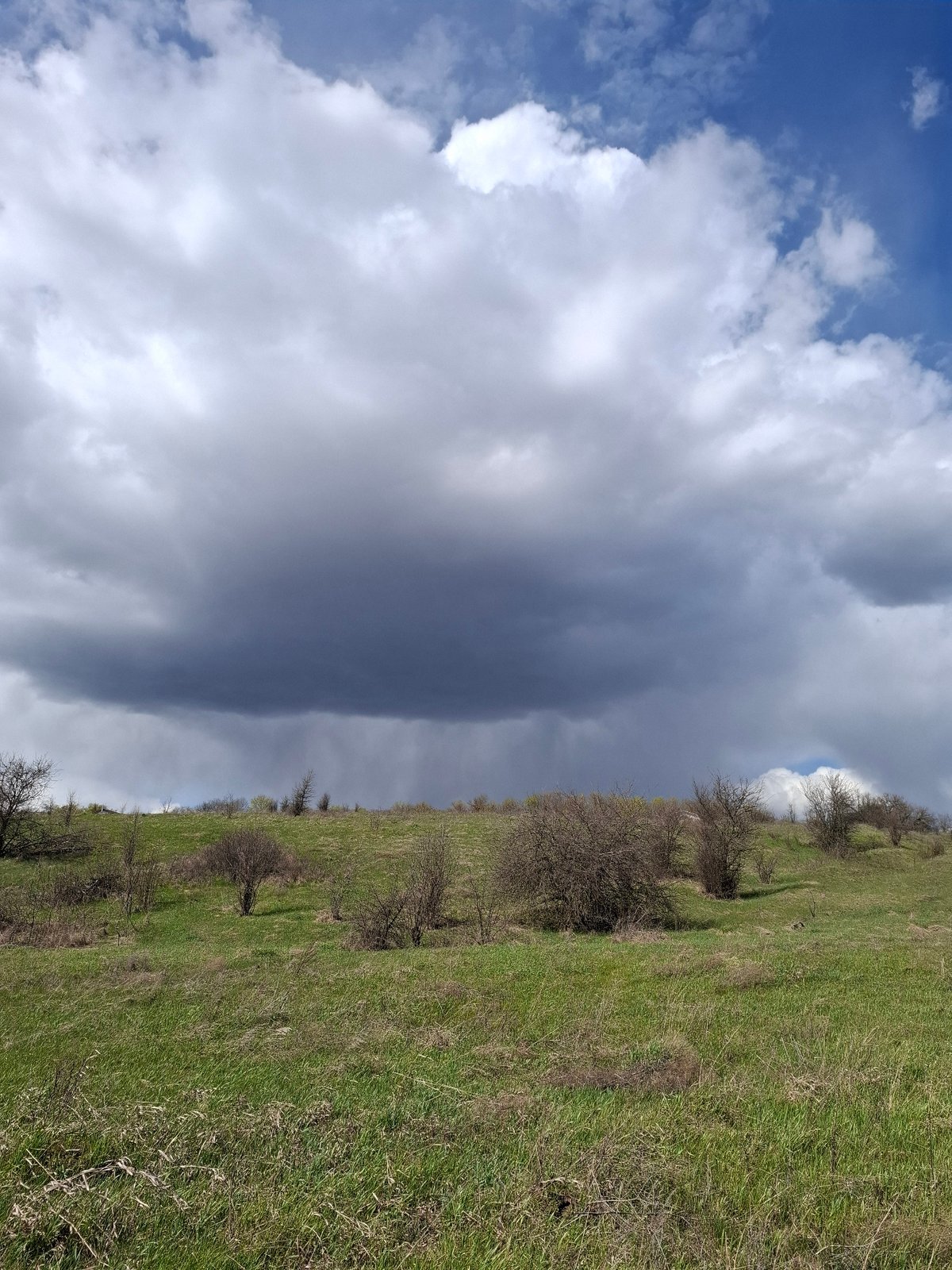 Spring countryside documented in rural Russia under dramatic skies