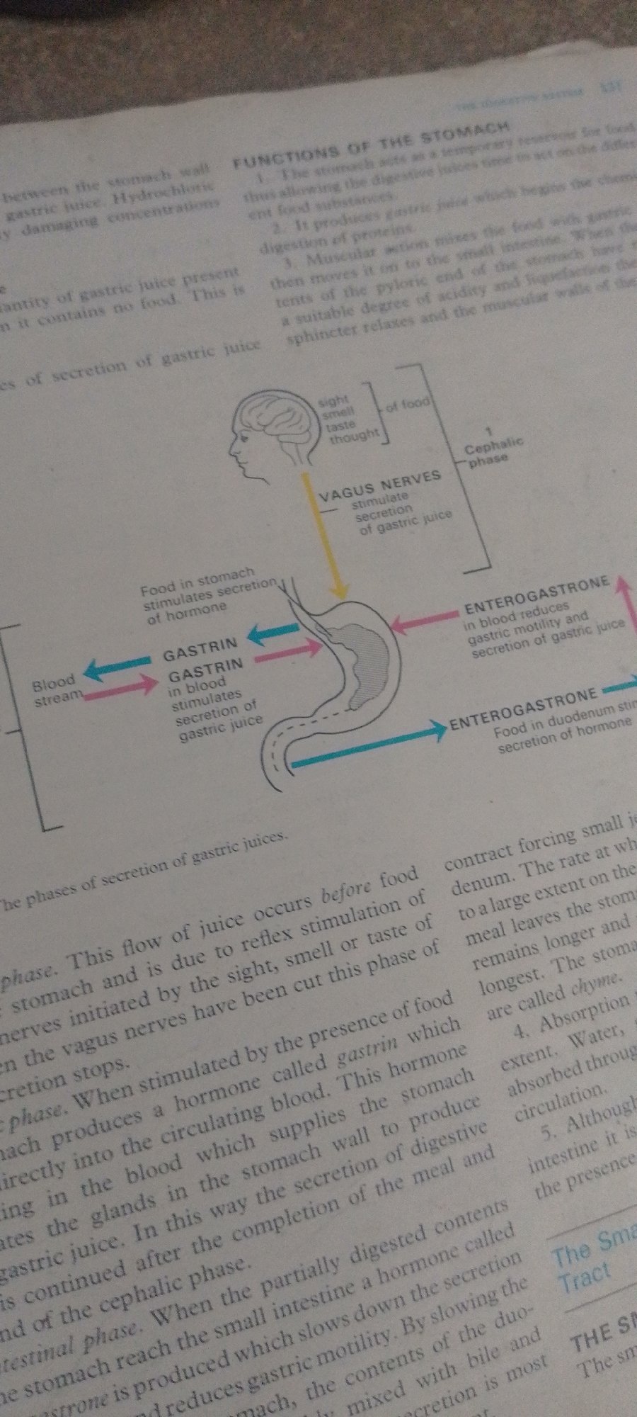 Studying human neuroanatomy from a textbook in northern Nigeria