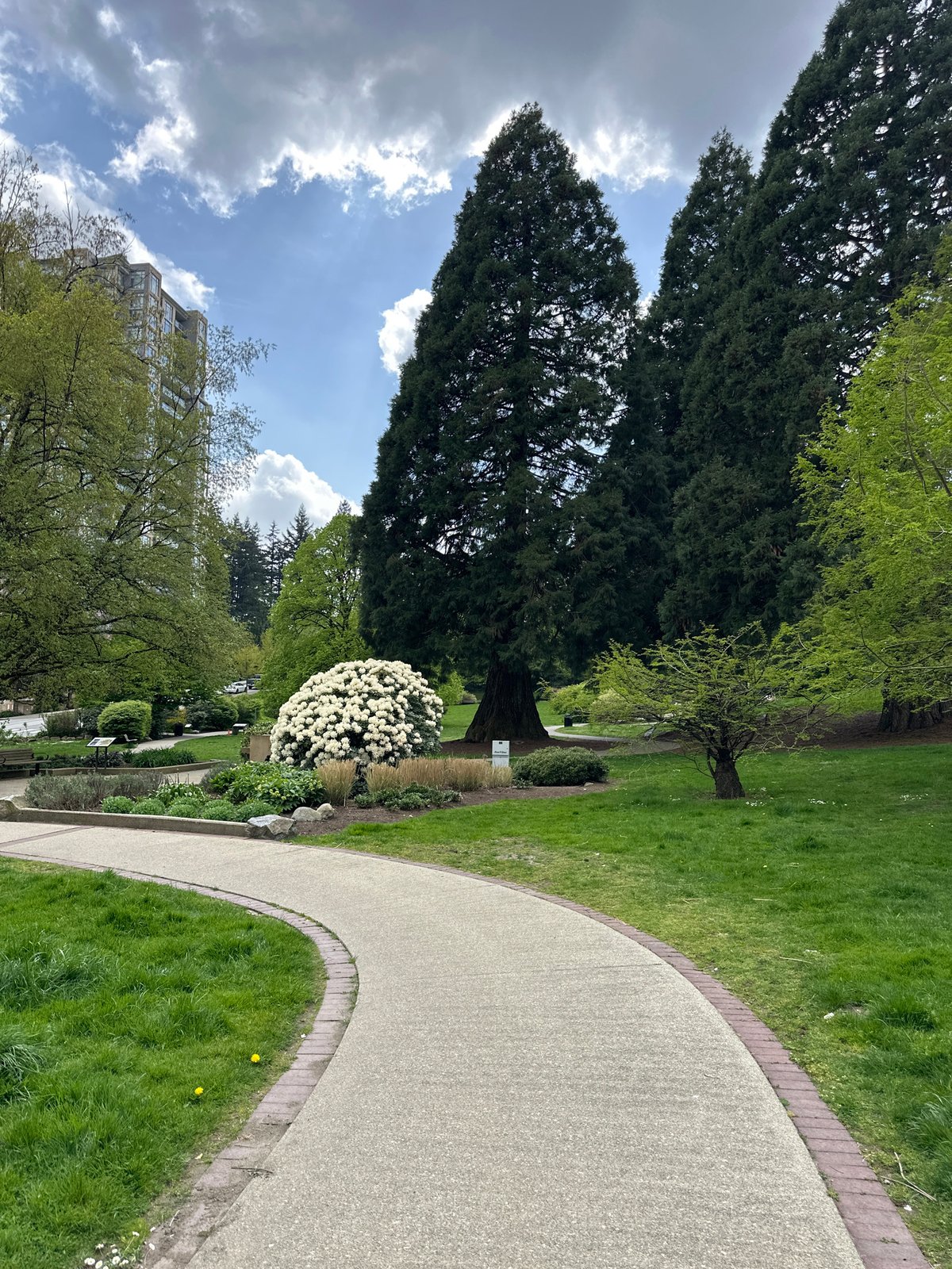 Evening park scene documented in New Westminster, Canada