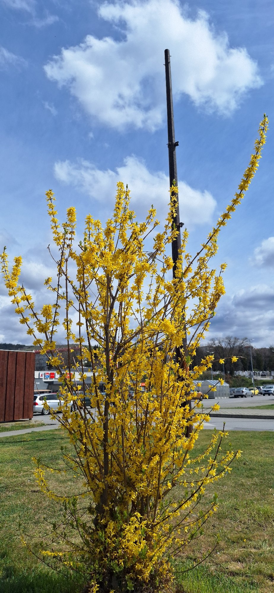 Spring flooding and blooms documented across Blagoevgrad, Bulgaria