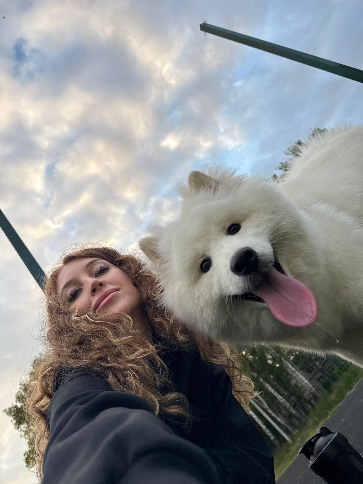 Afternoon pet playtime and photography session in Chaikovsky park