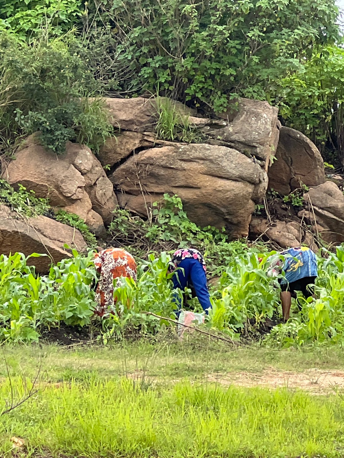 Football and farming on a Jos hillside on a July morning