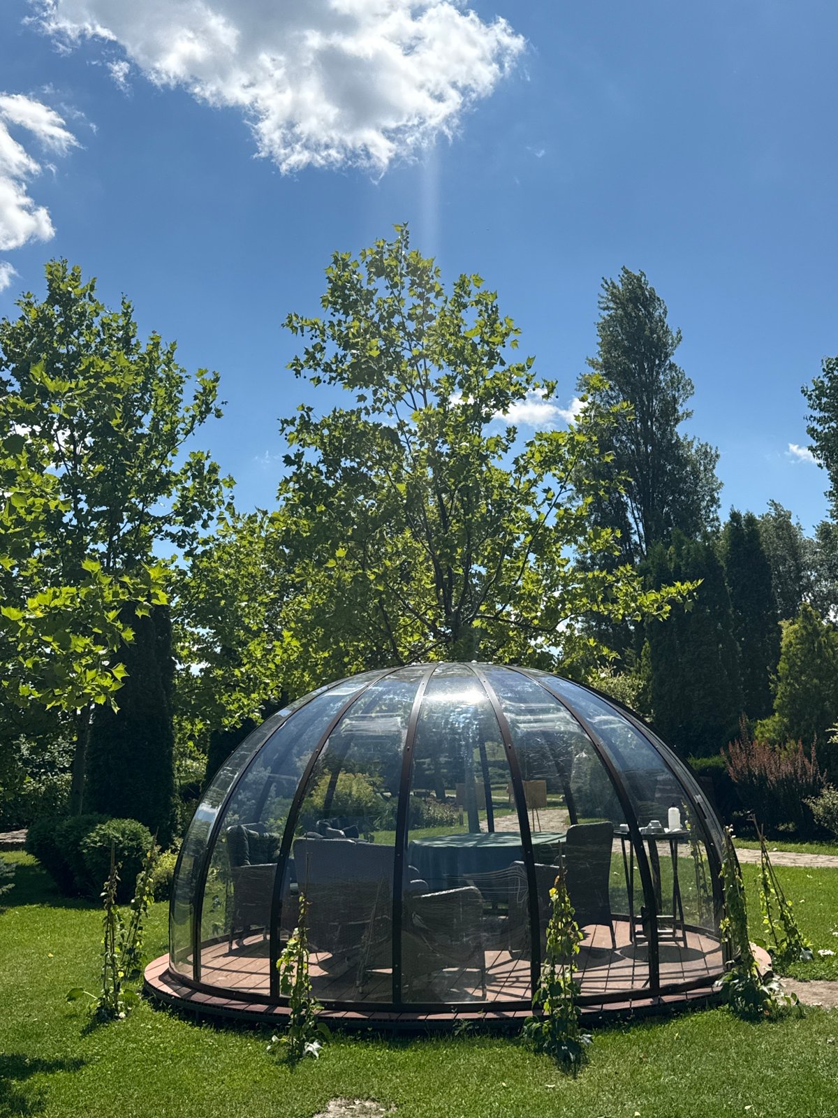 Sunny morning at a landscaped garden in Dnipro, Ukraine