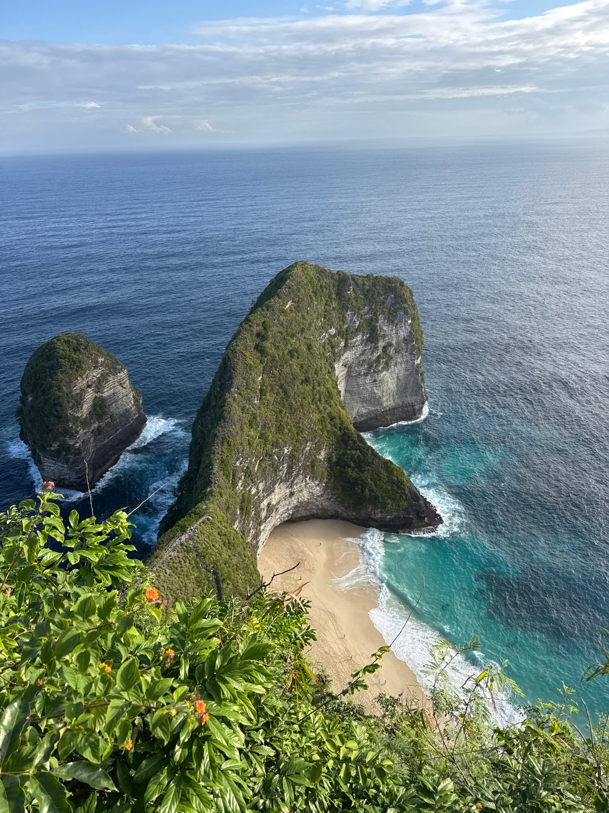 Kelingking Beach's iconic T-Rex cliff from above