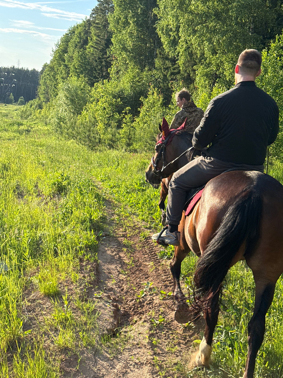 Horseback riders enjoy afternoon trail ride near Russian forest