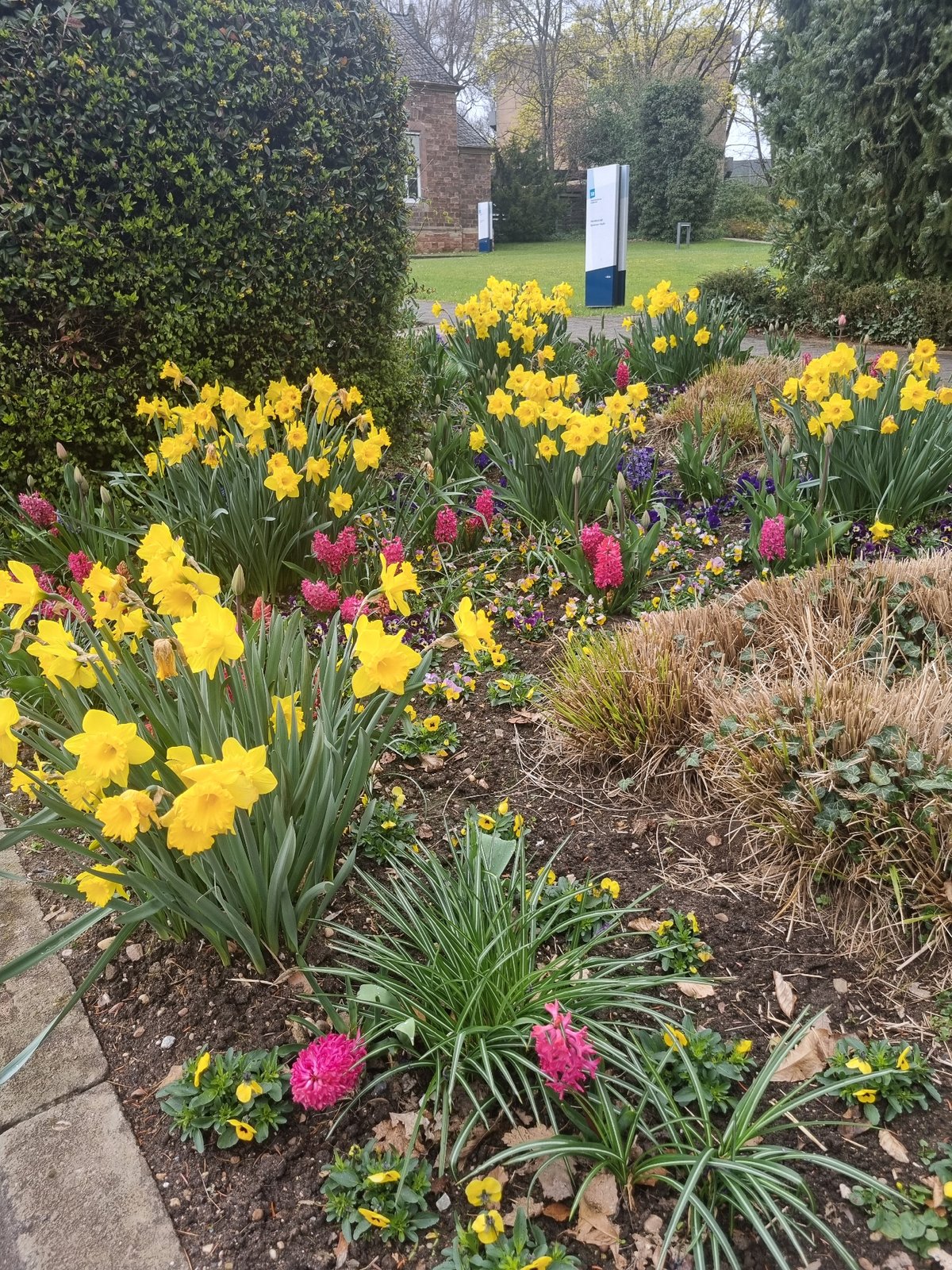 Spring blooms and architecture documented across Saarbrücken parks