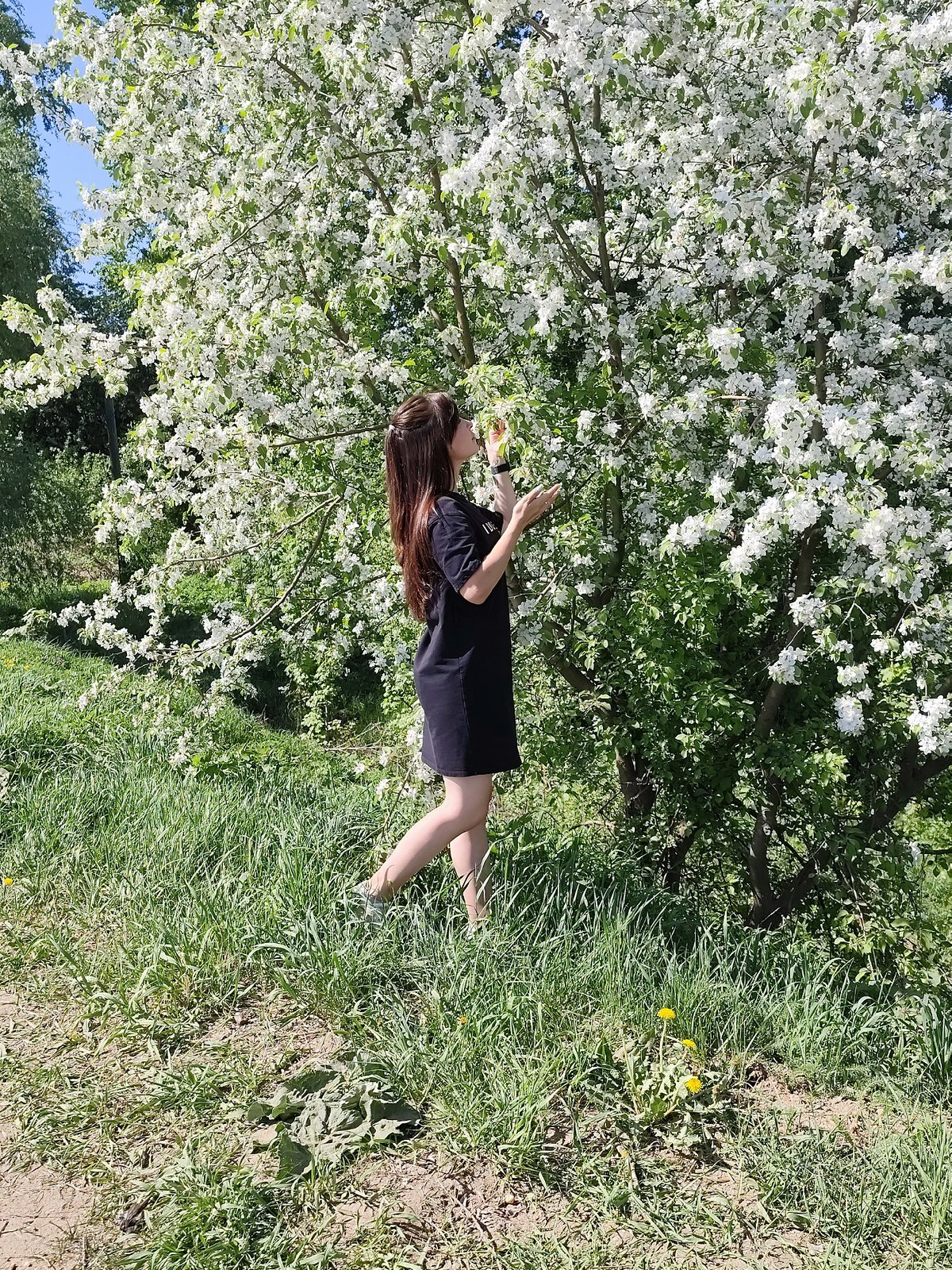 Mother enjoys spring blossoms during morning stroll in Russia
