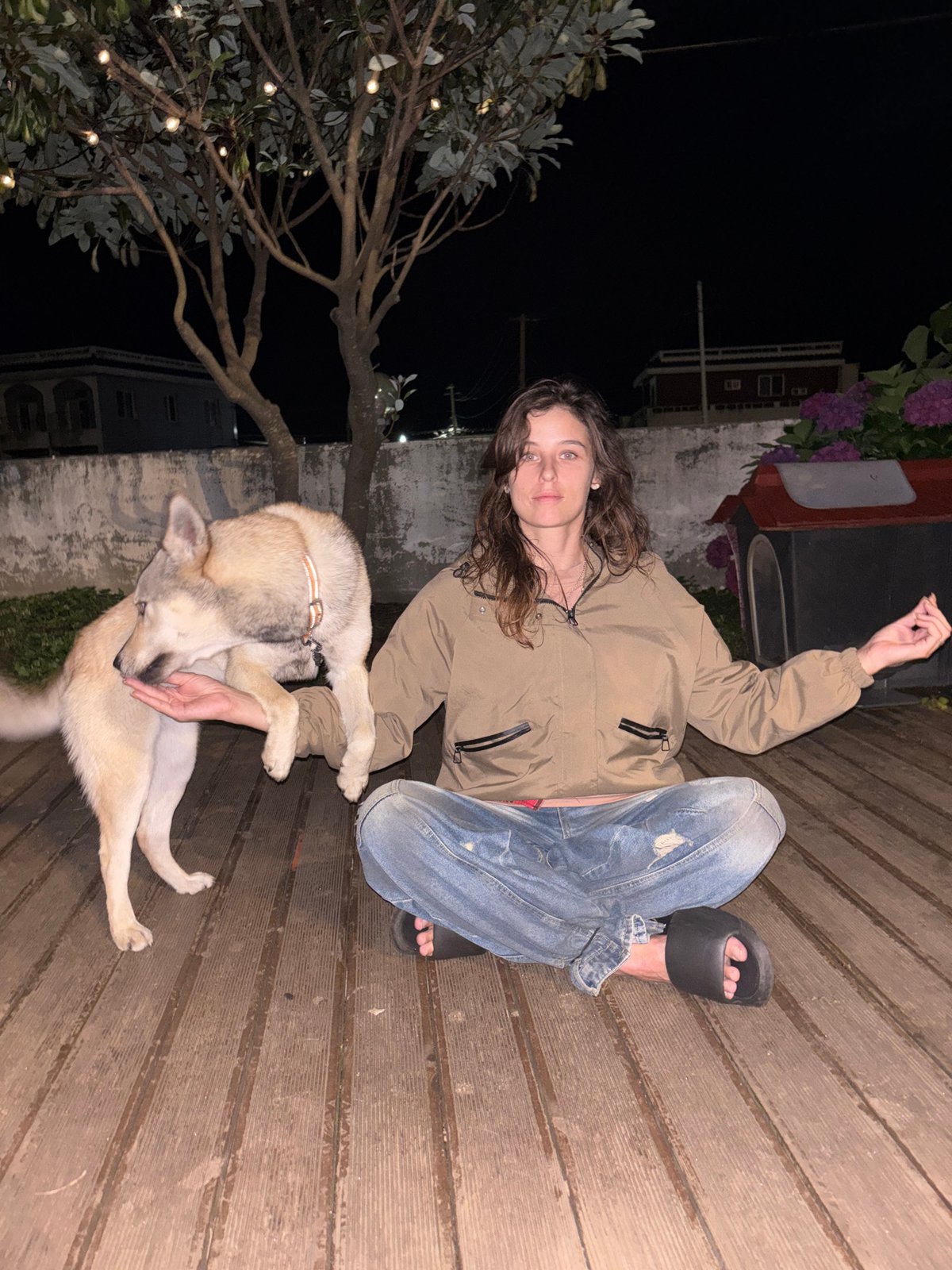 Yoga, a dog, and sashimi on a Jeju night deck