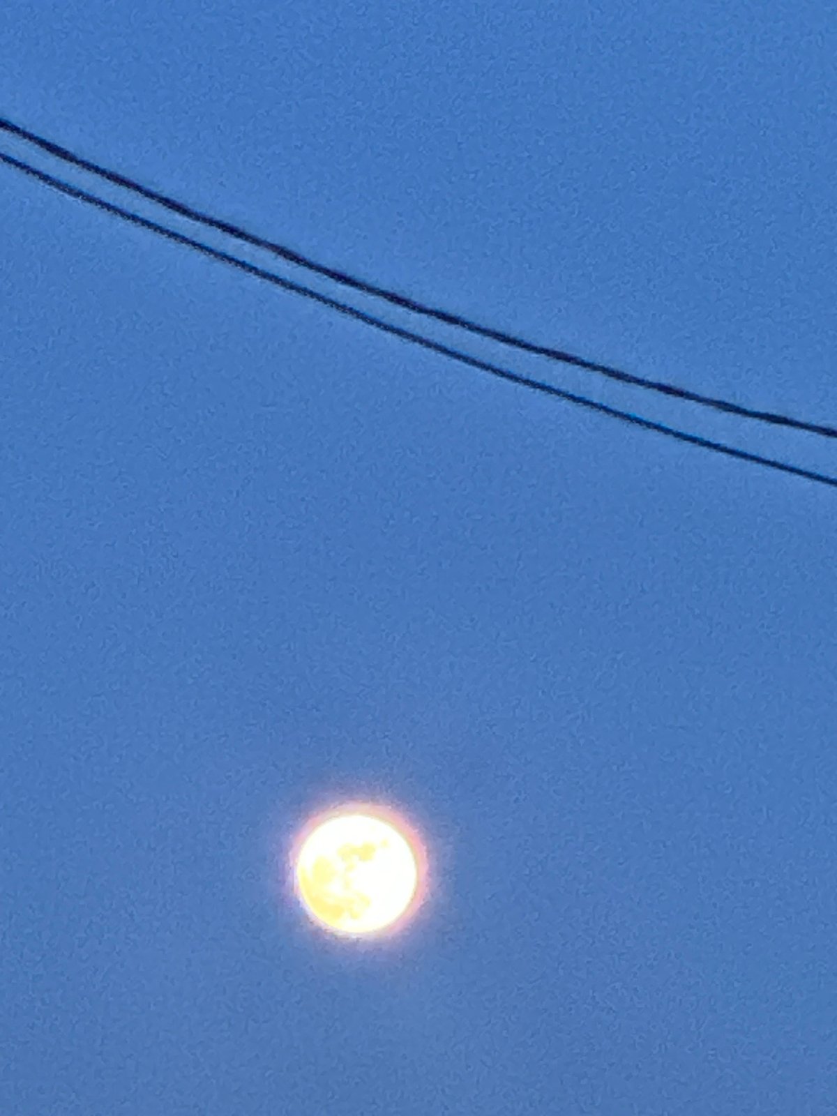 Electrical infrastructure and full moon spotted in Chaikovsky