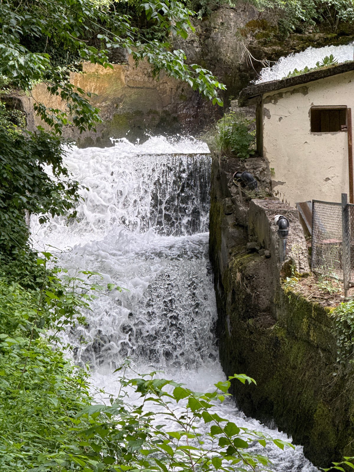 Afternoon roam through Lovech: fortress views, forest paths, and wildlife