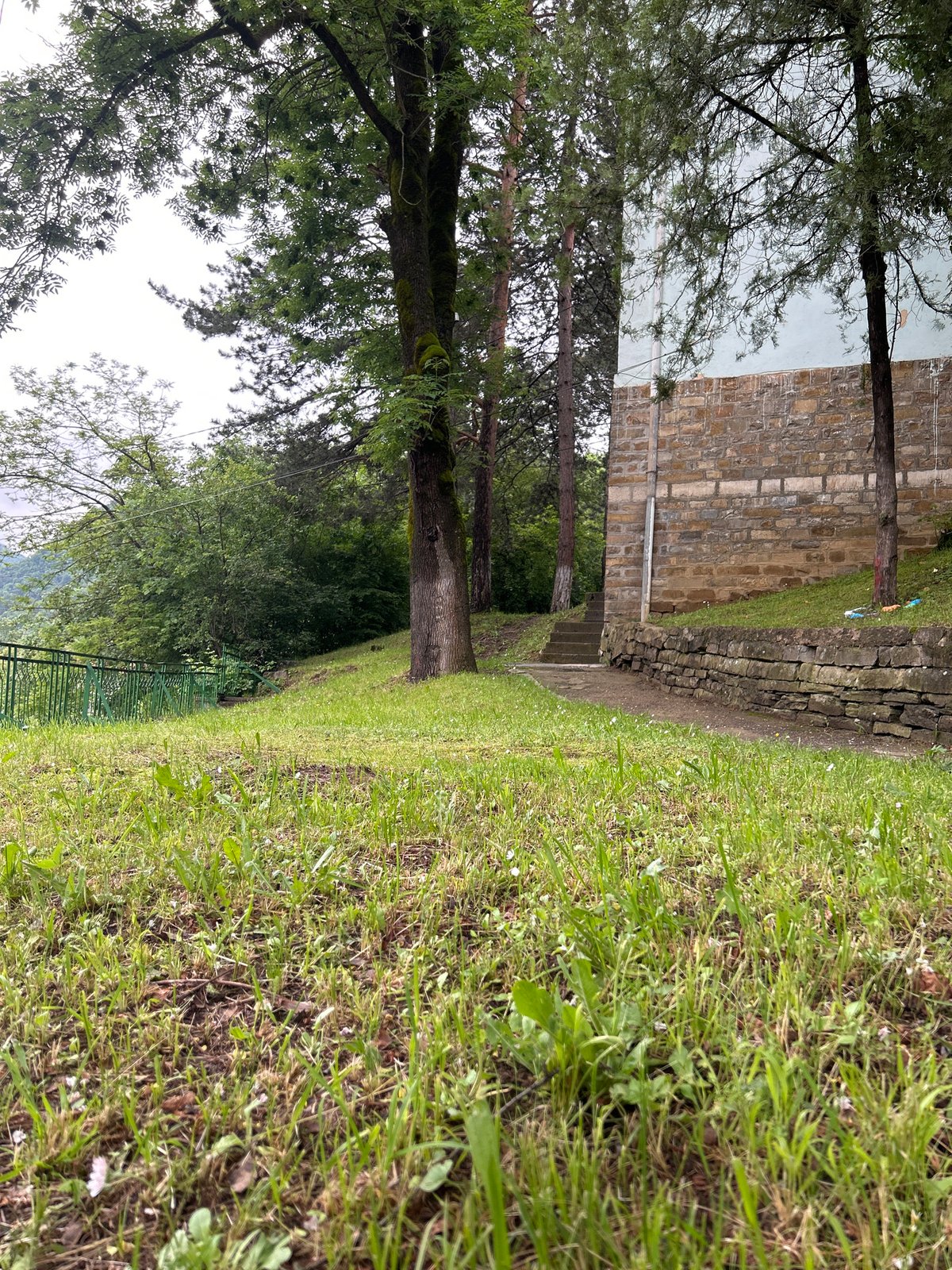Witnesses document cats, pathways, rushing river in unknown location