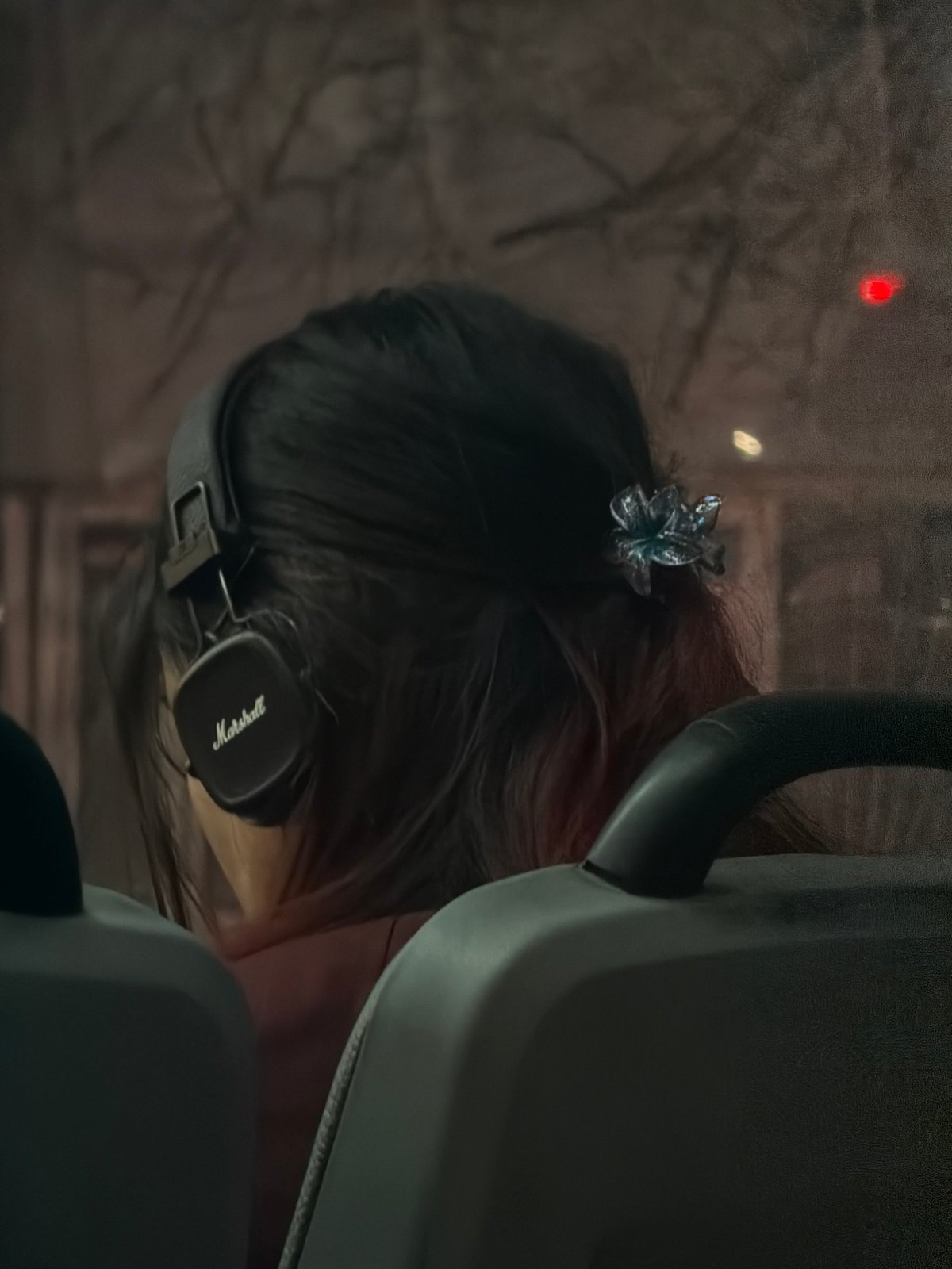 Person with headphones observed in vehicle in Rostov-on-Don
