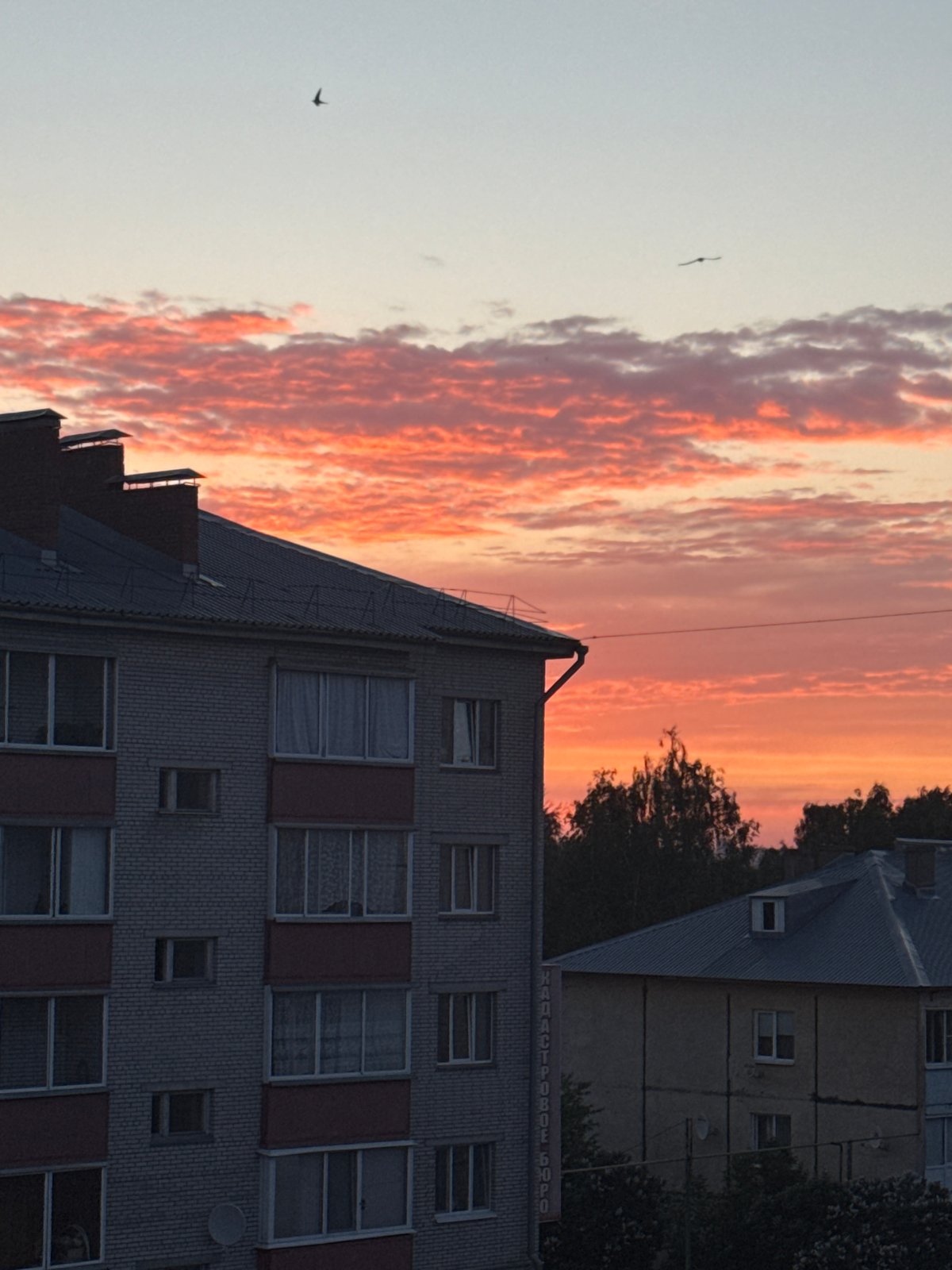 Sunset with pink-orange clouds observed in Zav'yalovo, Russia