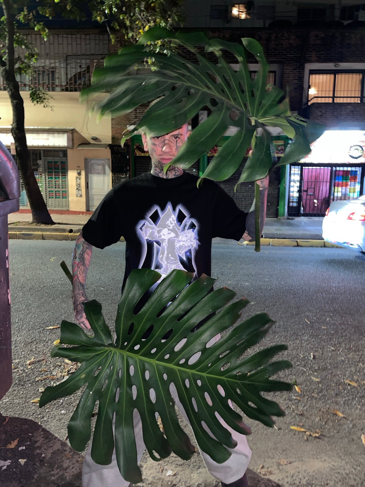 Tattooed person with plants, injured man singing captured in Buenos Aires