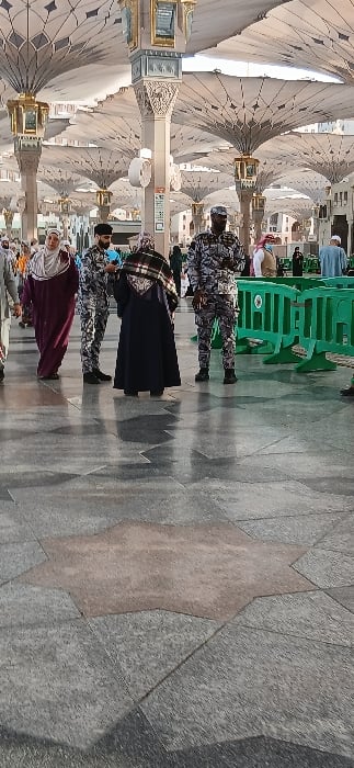 Morning prayers and pilgrimage activities documented at Medina mosques