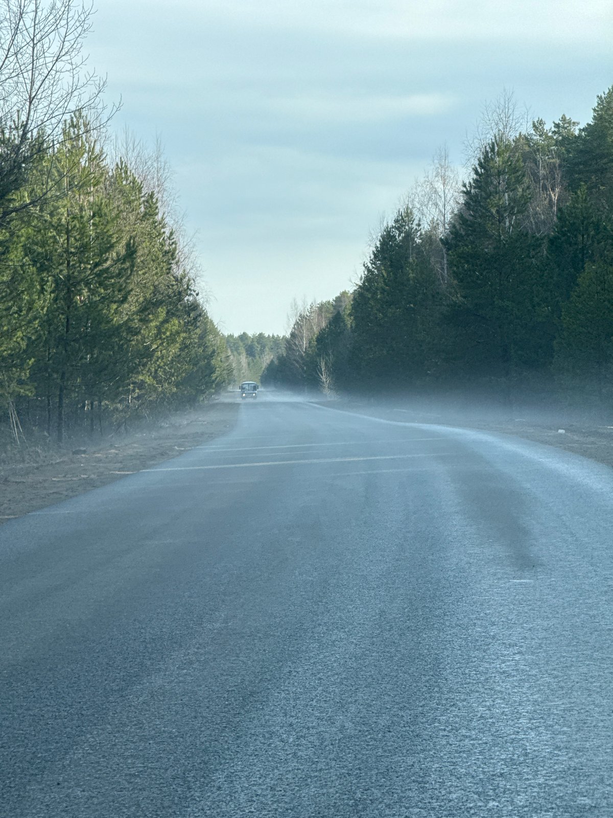 Wet tree-lined road observed near Chaikovsky, Russia