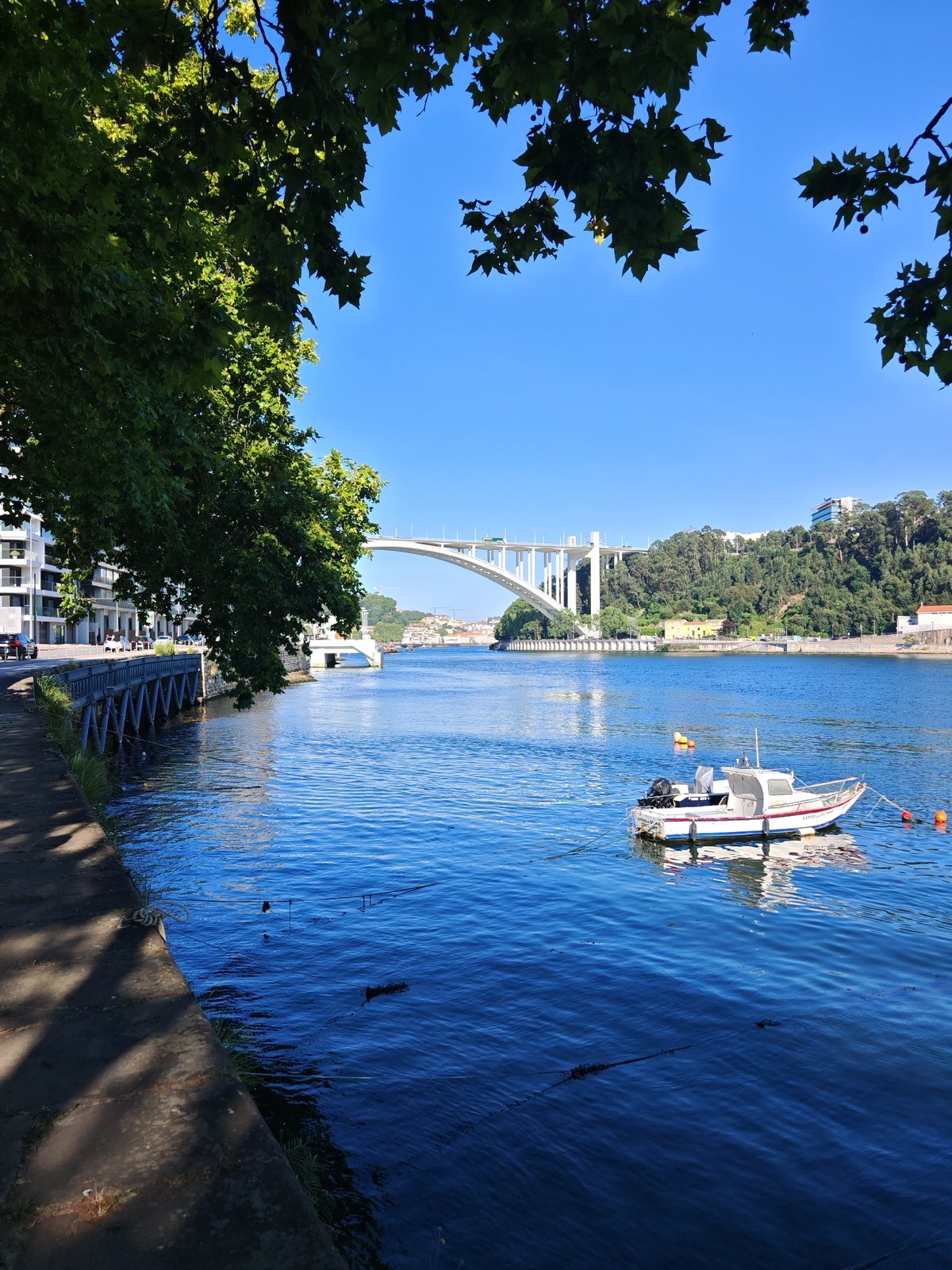 Sunny riverfront with a modern arched bridge and hillside town