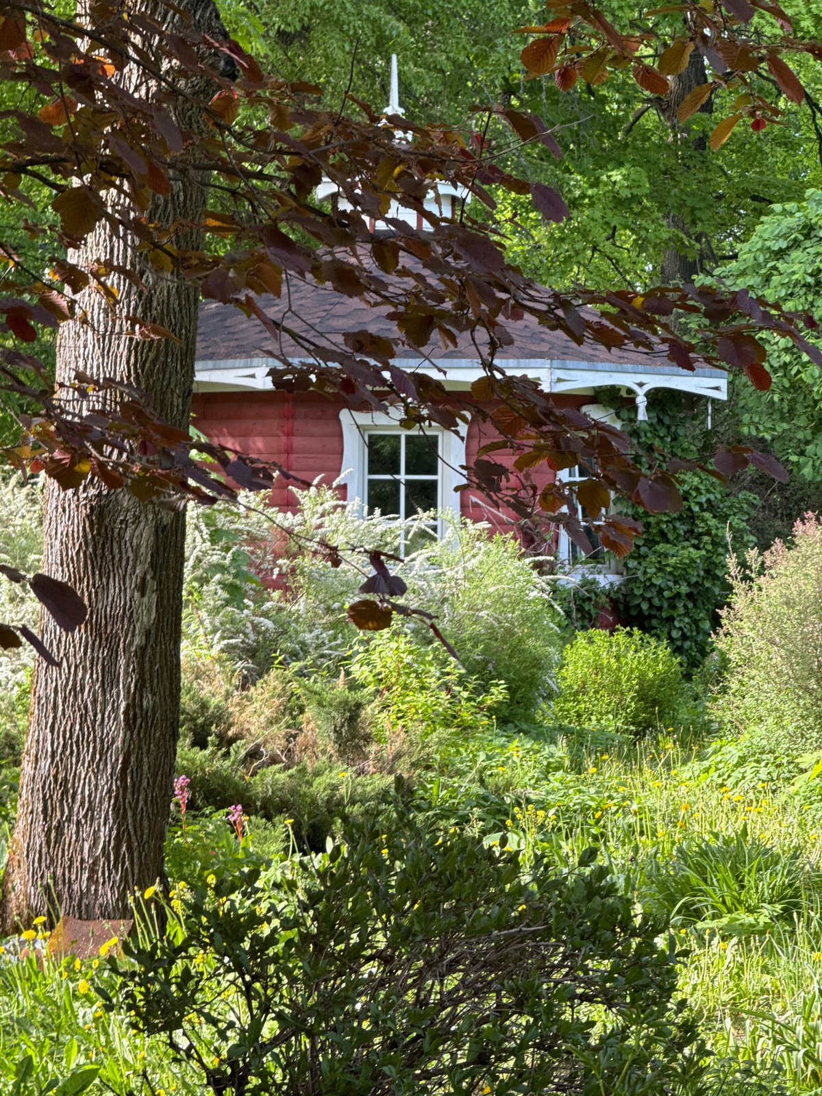 Child plays in garden setting documented in Sapronovo