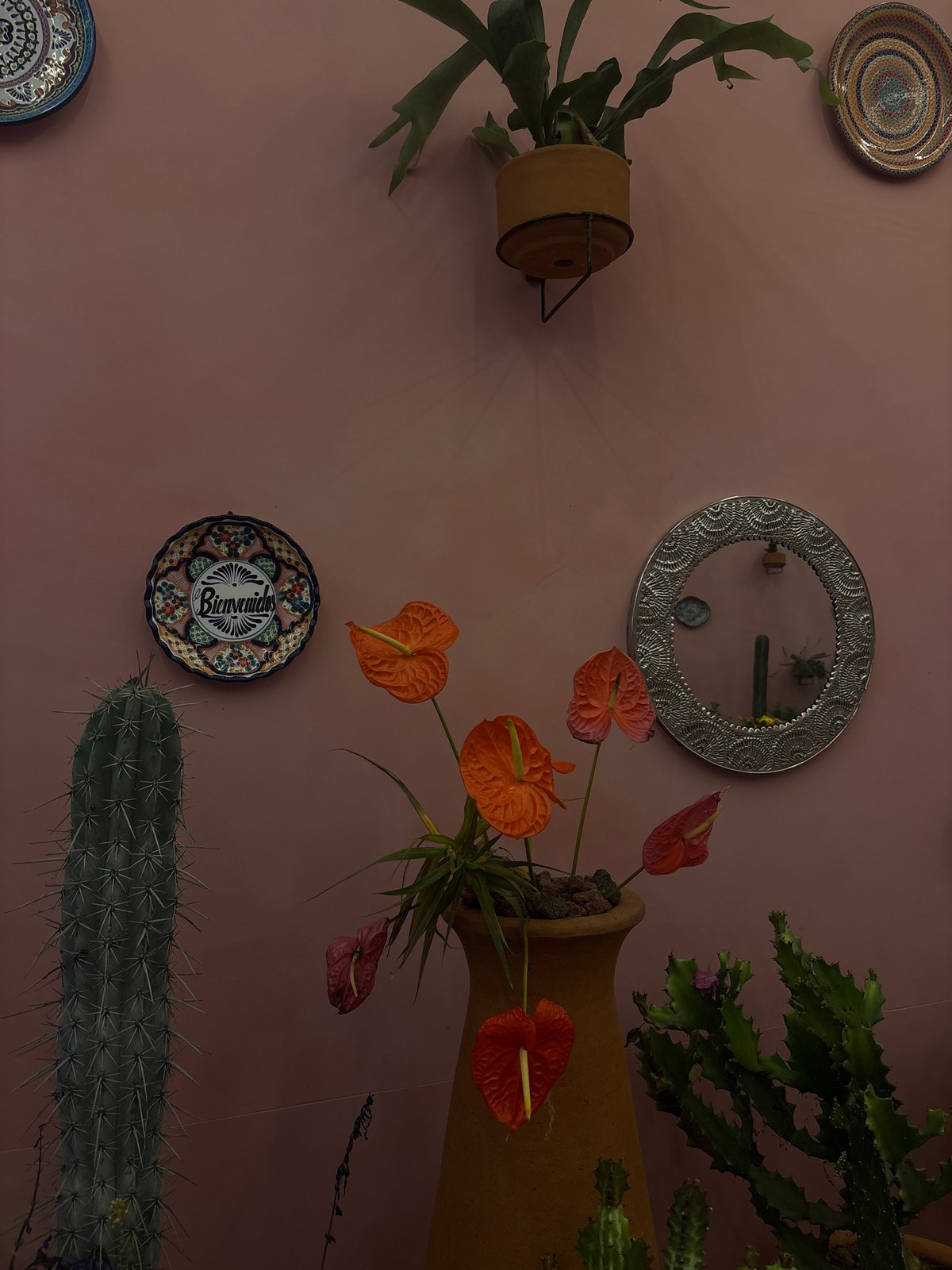 Rose-colored decorated wall documented in Mexico City interior space