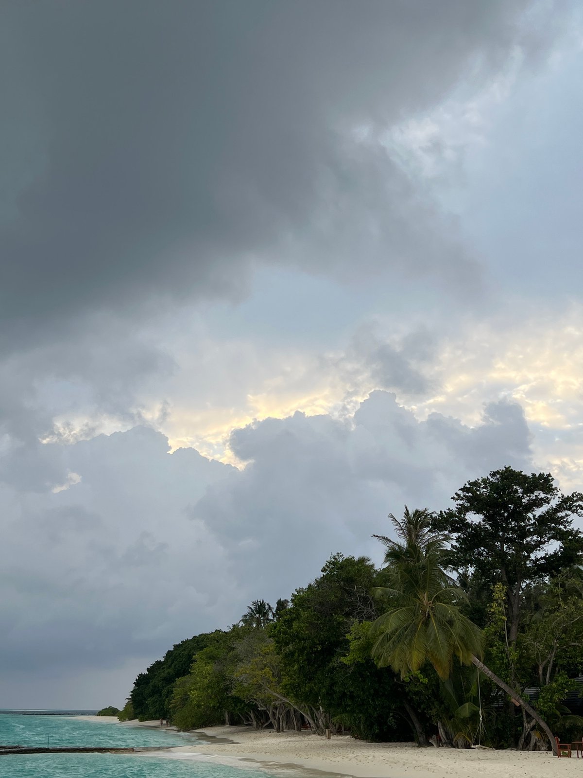 Tropical beach scene captured under dramatic cloudy skies