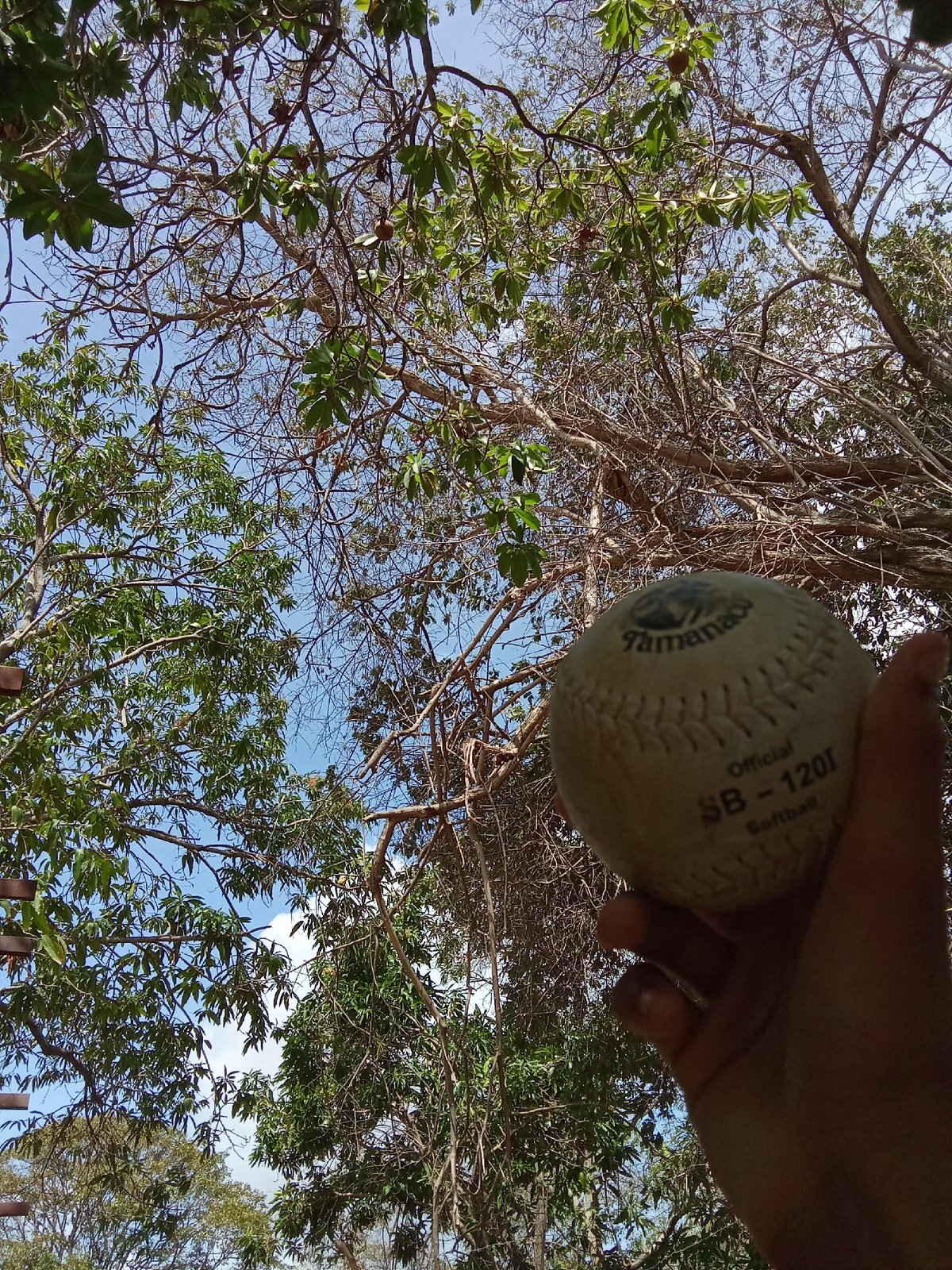 Softball game documented in Juan Griego, Venezuela