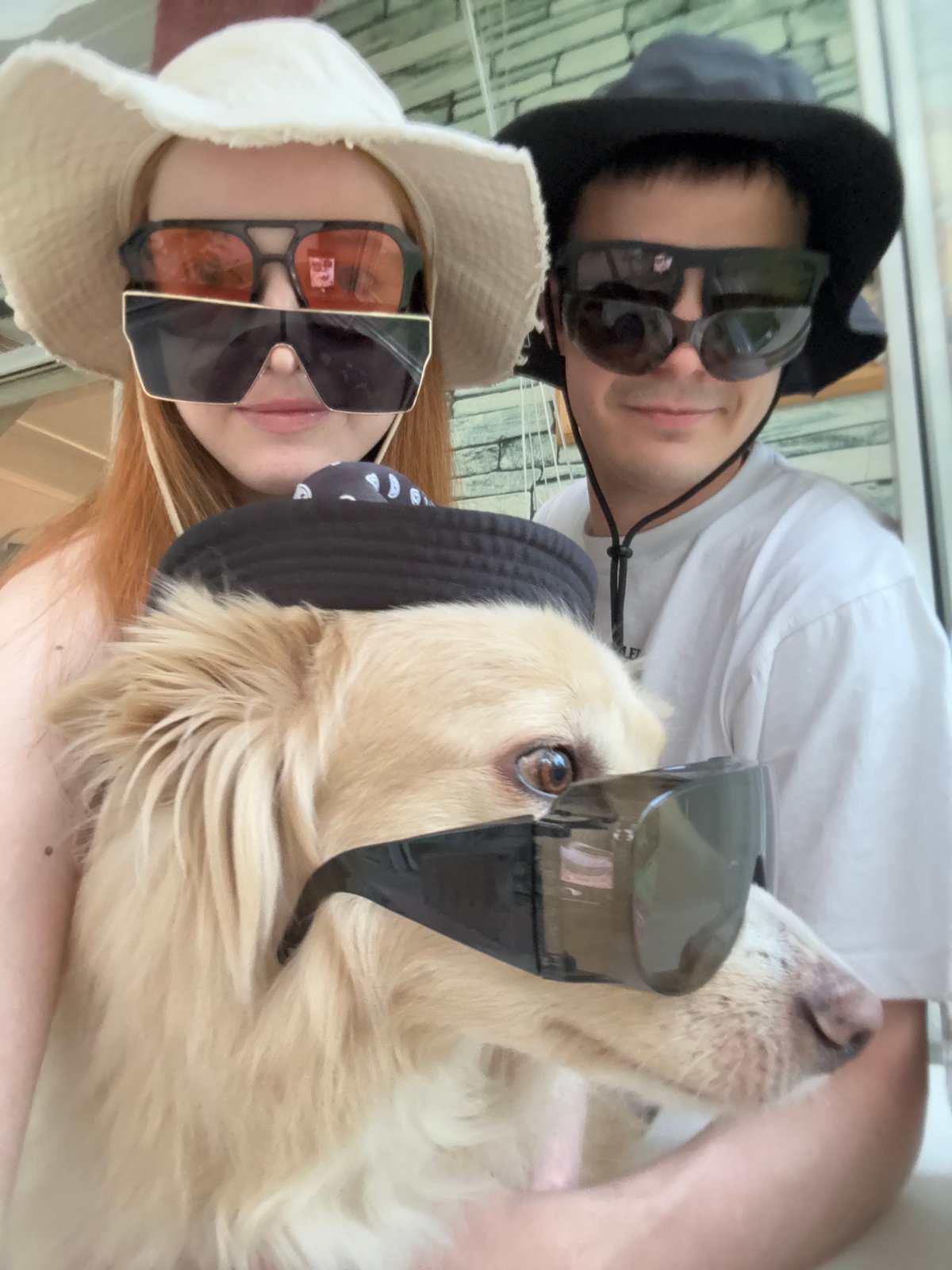 Family with dog visits forest park in Chaikovsky, Russia