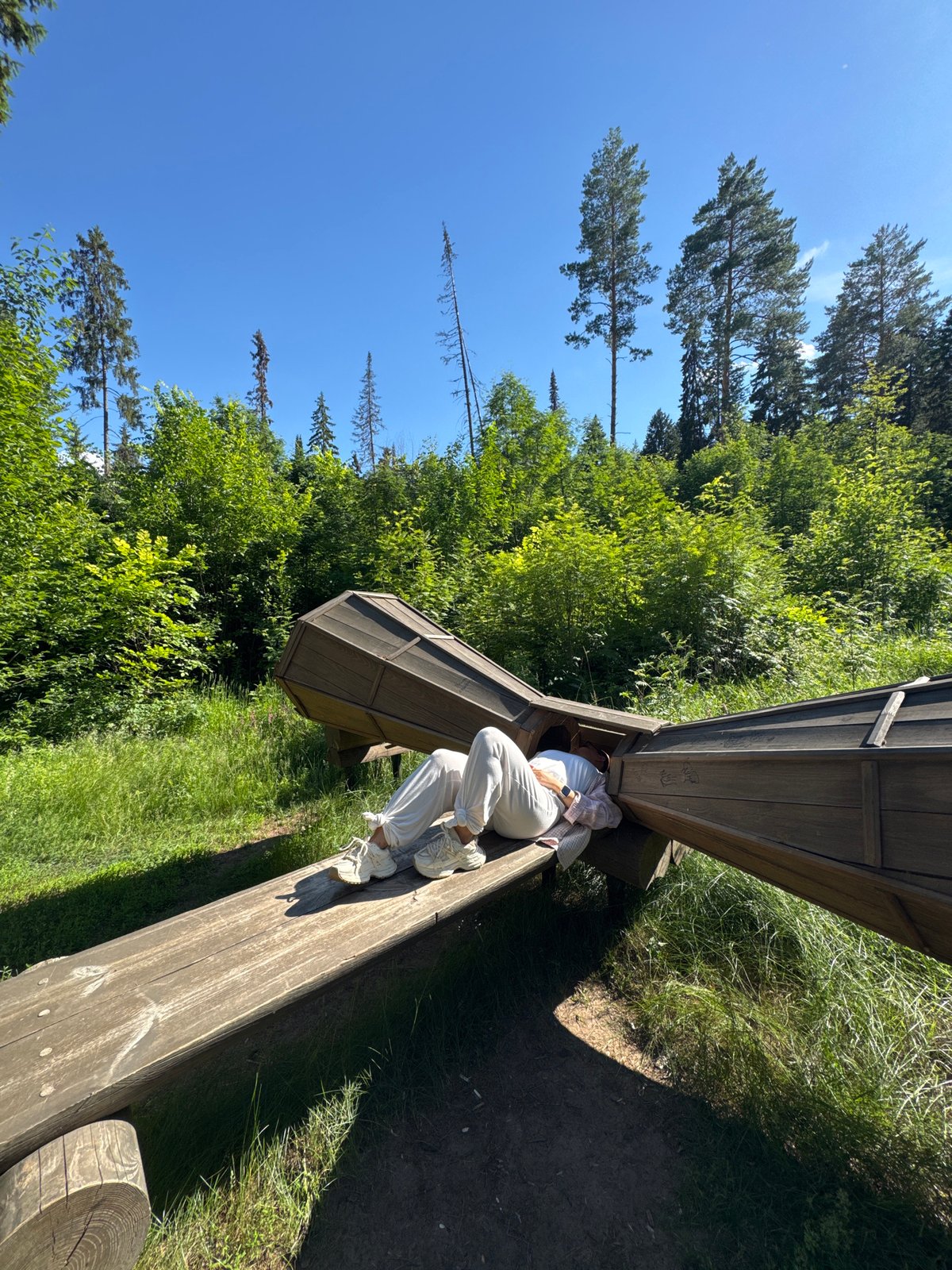 Resting on a curved wooden structure deep in a Russian forest