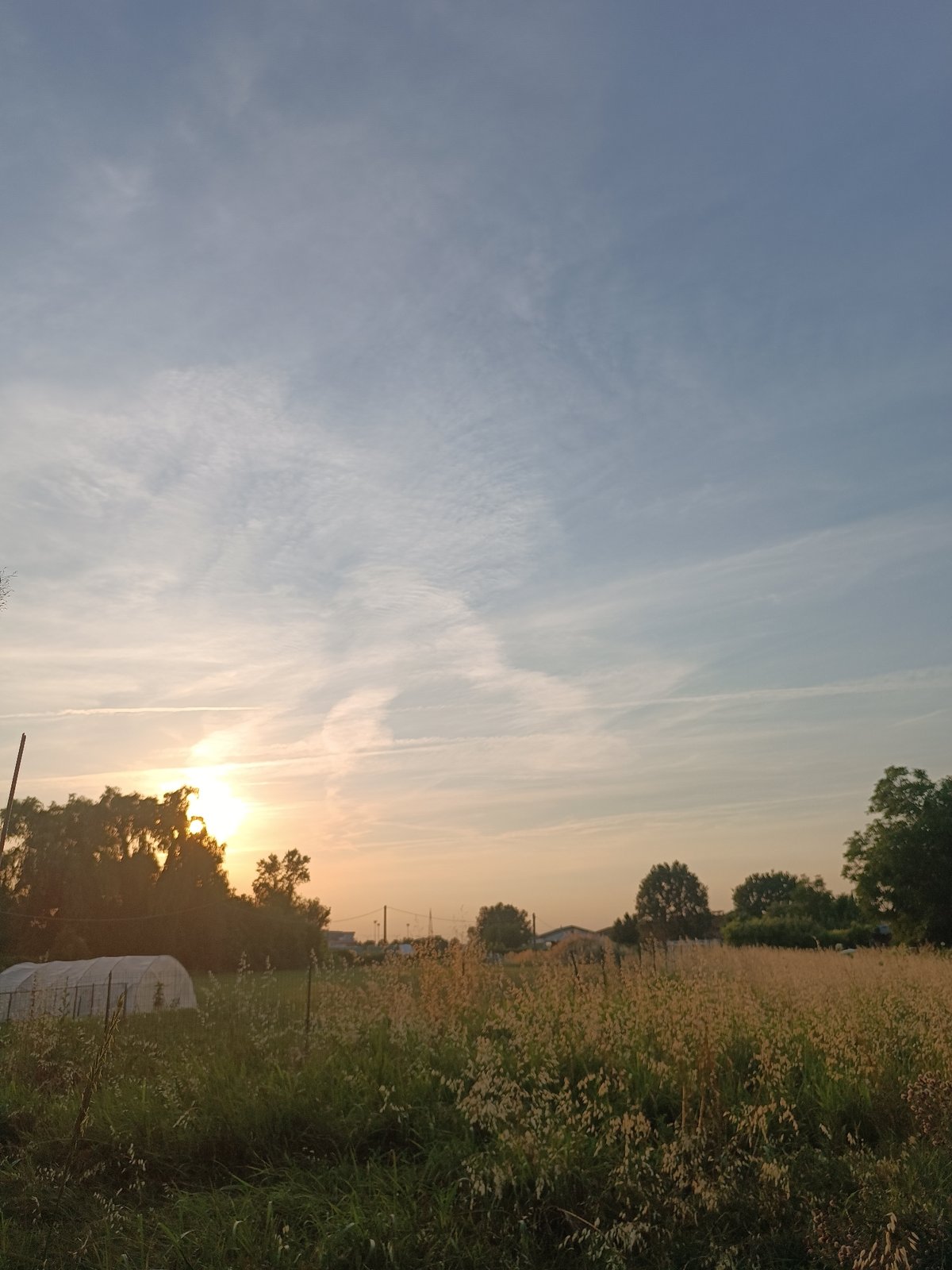 Afternoon life documented through nature and pet photography in Viadana