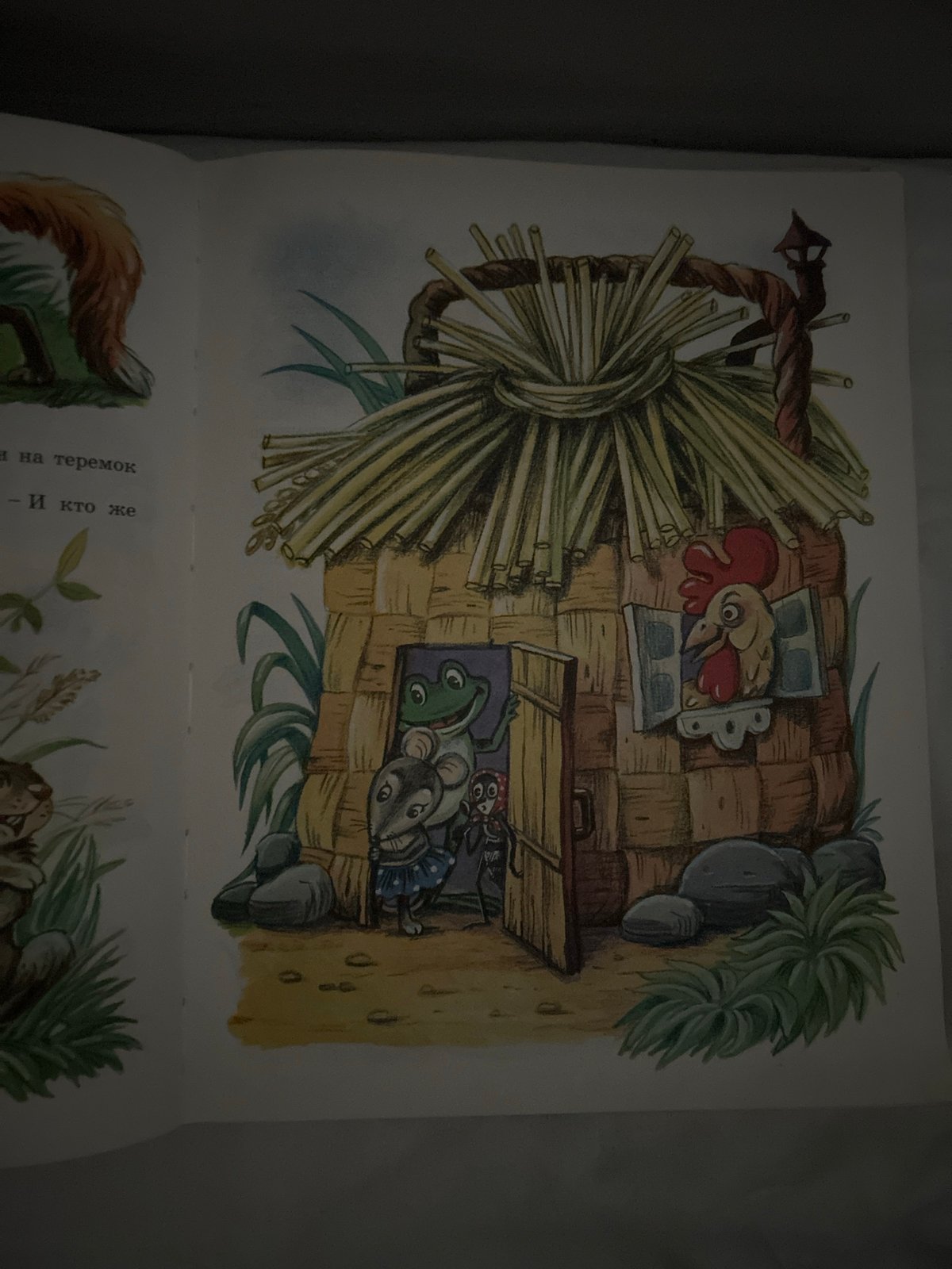 Cat, bedsheets, and a storybook — a quiet morning at home