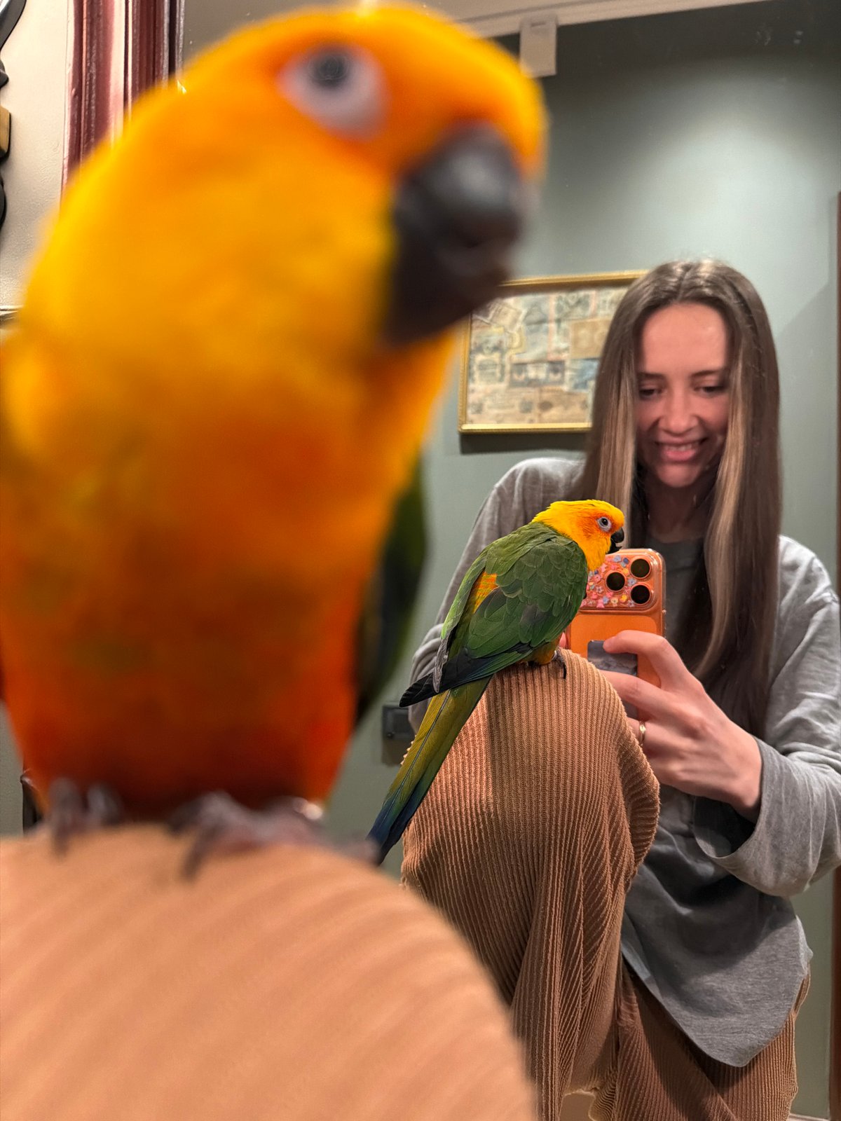 Woman takes mirror selfie with colorful parrots