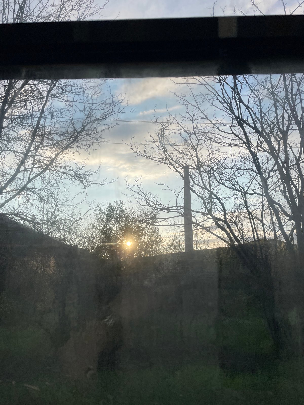 Morning view of bare trees captured near Prisovo, Bulgaria