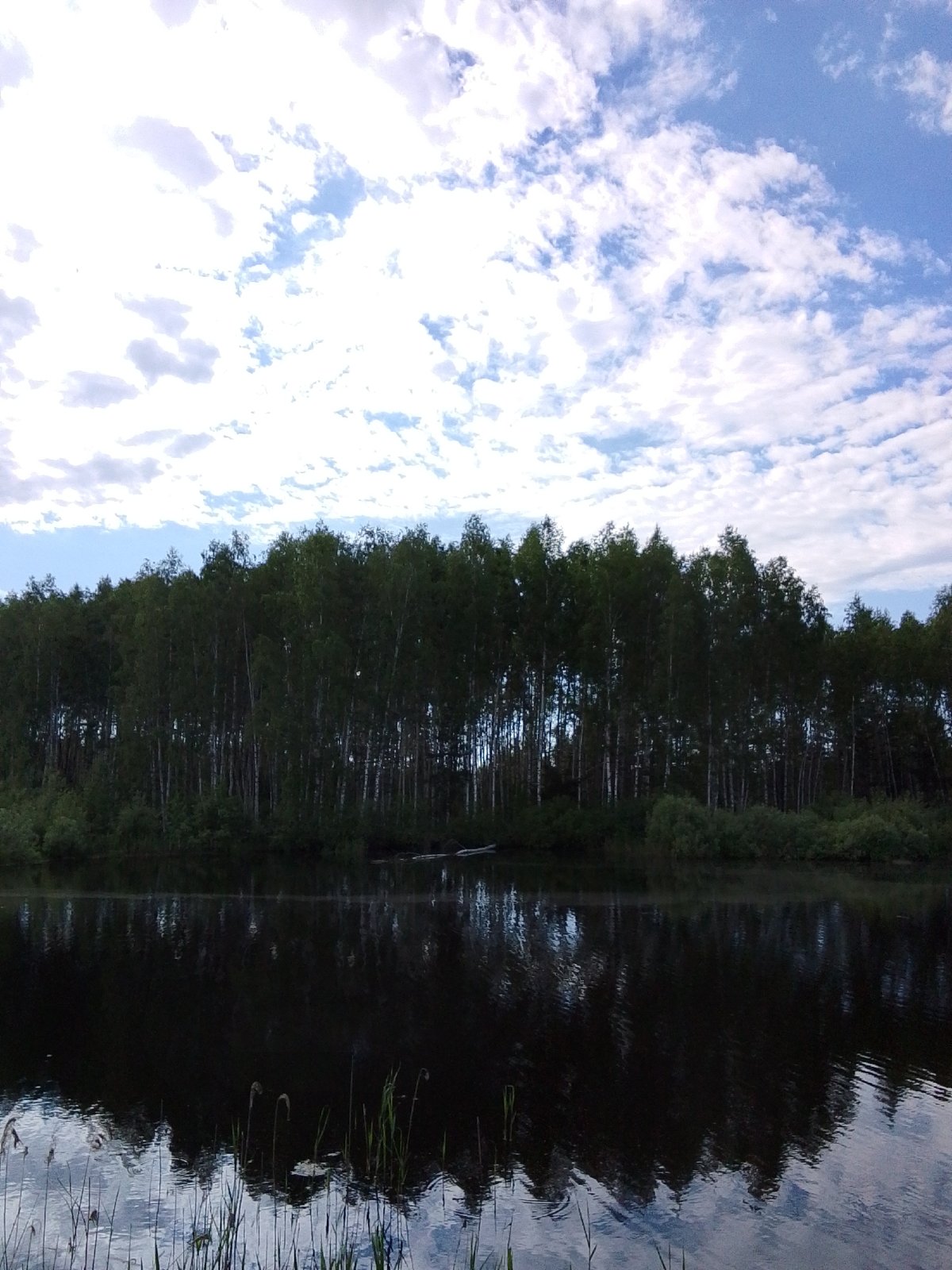 Still water reflects trees under cloudy Russian sky