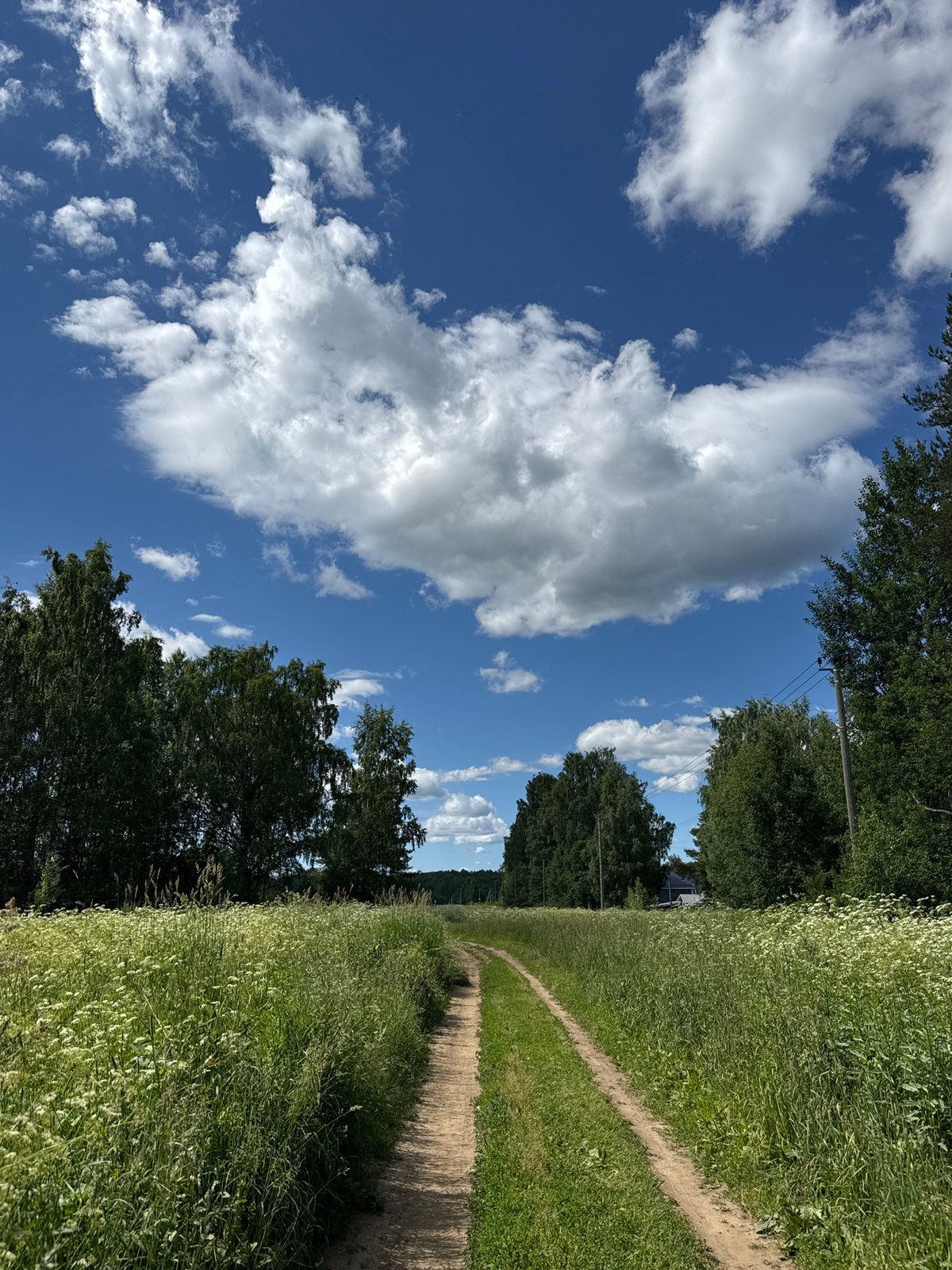 Summer morning in rural Russia: wildflower walks and backyard downtime