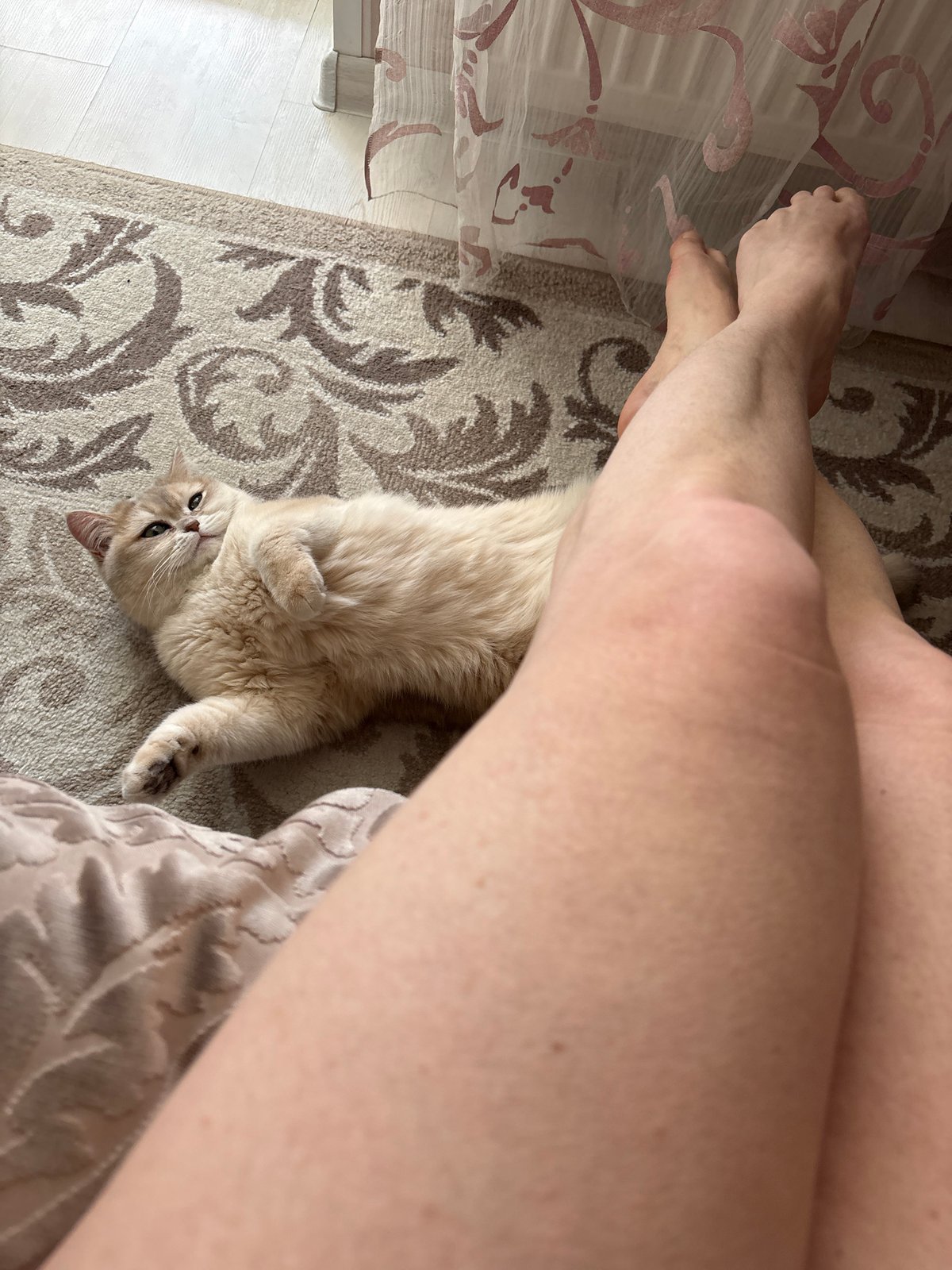 Daily life moments documented across Chaikovsky, Russia