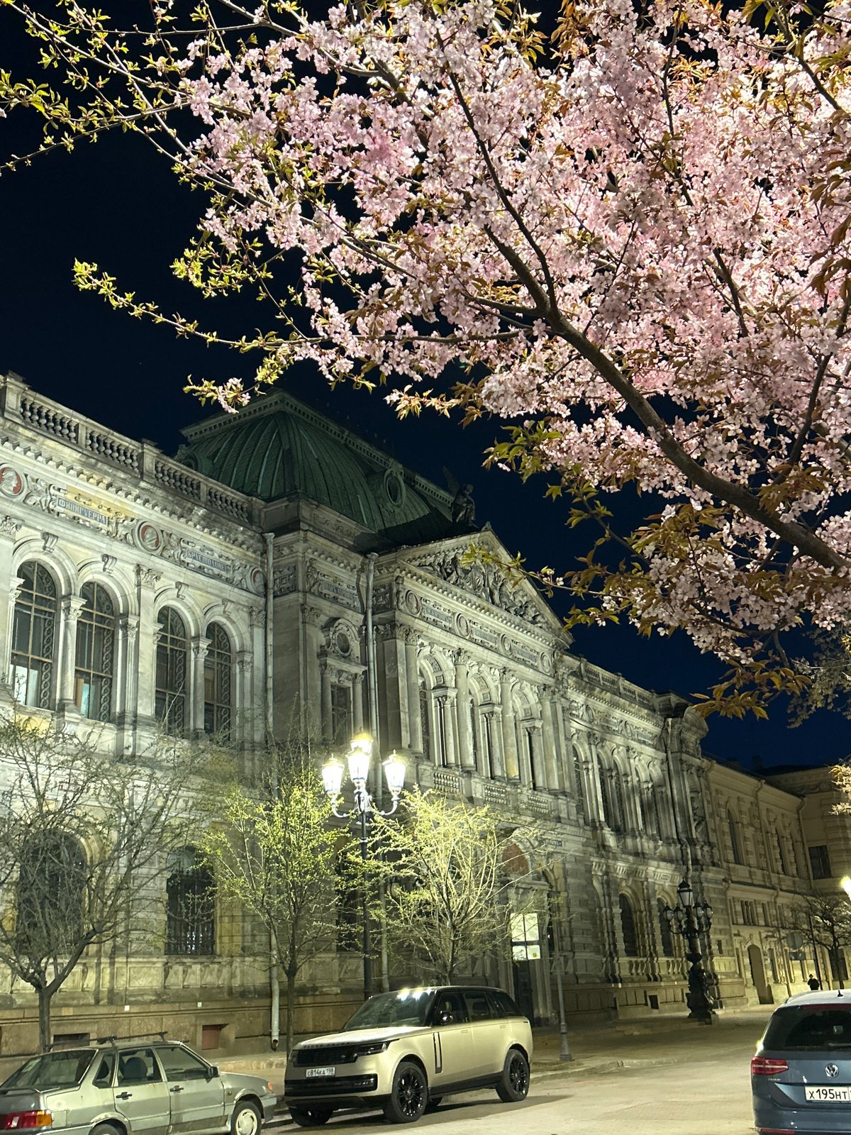 Spring evening stroll captured amid illuminated Saint Petersburg landmarks
