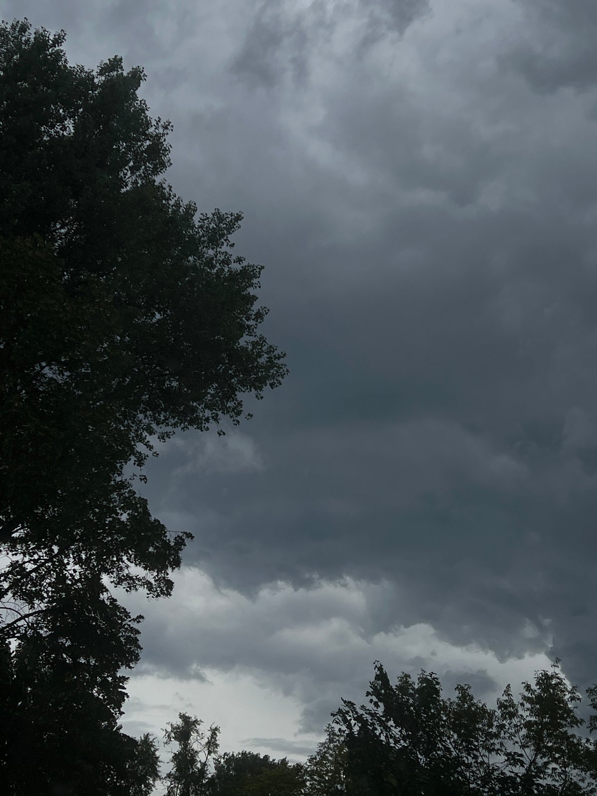 Storm clouds gather over Warsaw's summer tree canopy