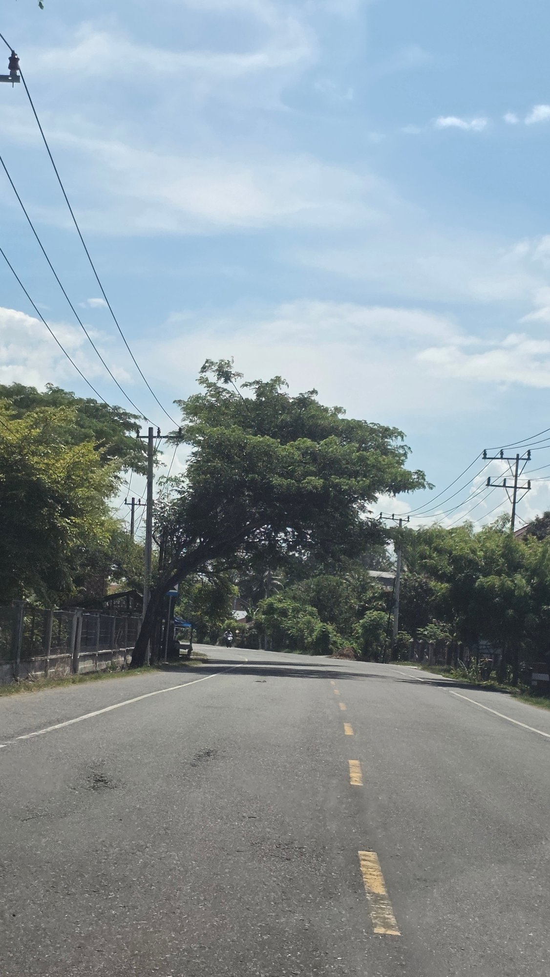 Motorcycles travel rural Indonesian road amid green vegetation