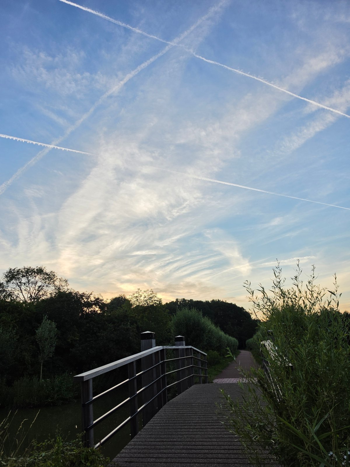 Canals, old trees, and contrail skies at sunset in Rijswijk
