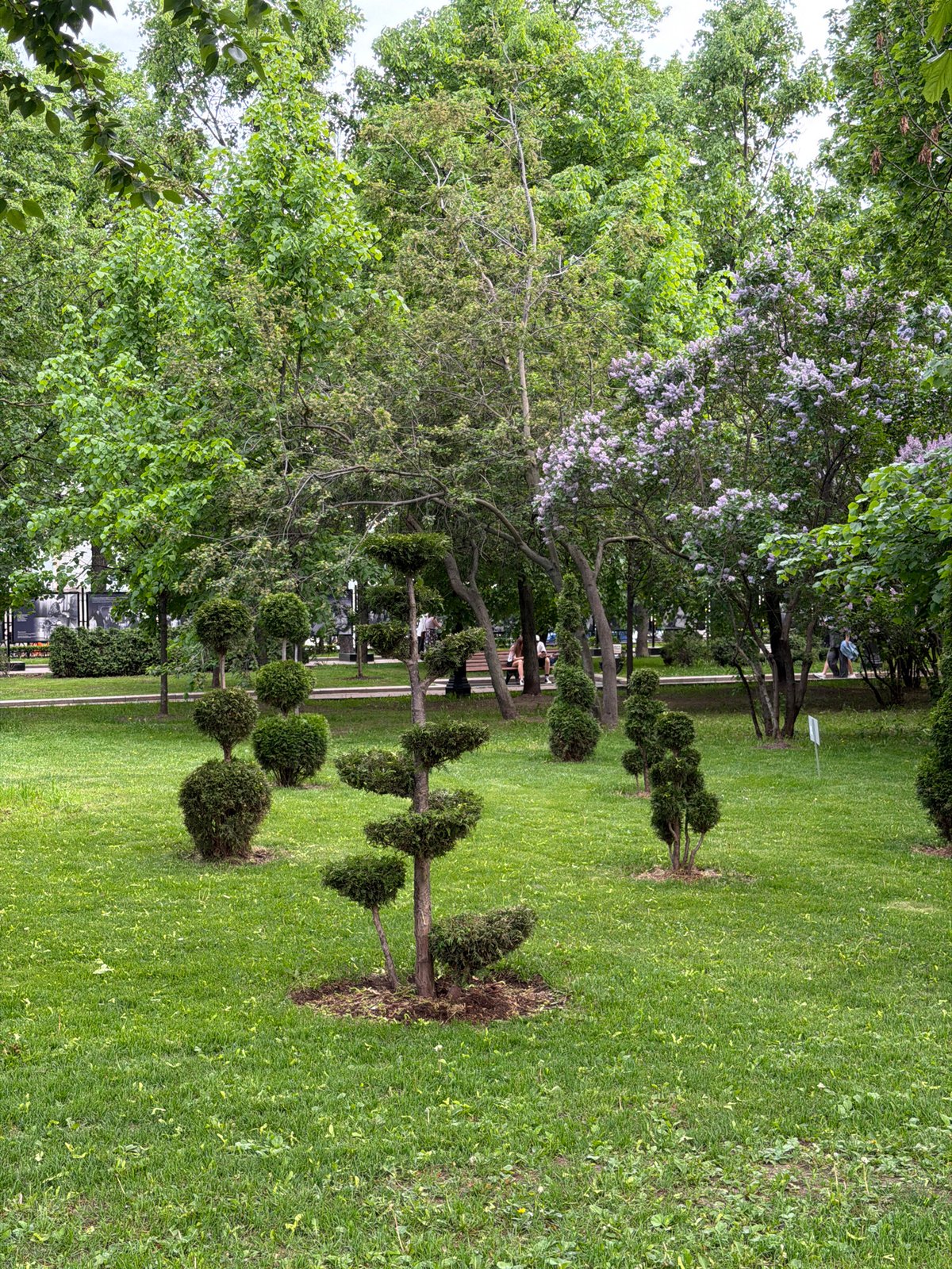 Spring blooms and monuments captured in Moscow park walkthrough
