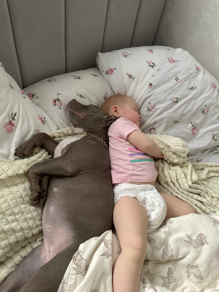 Domestic life captured in Pervomaysky: baby, dog, woman at home