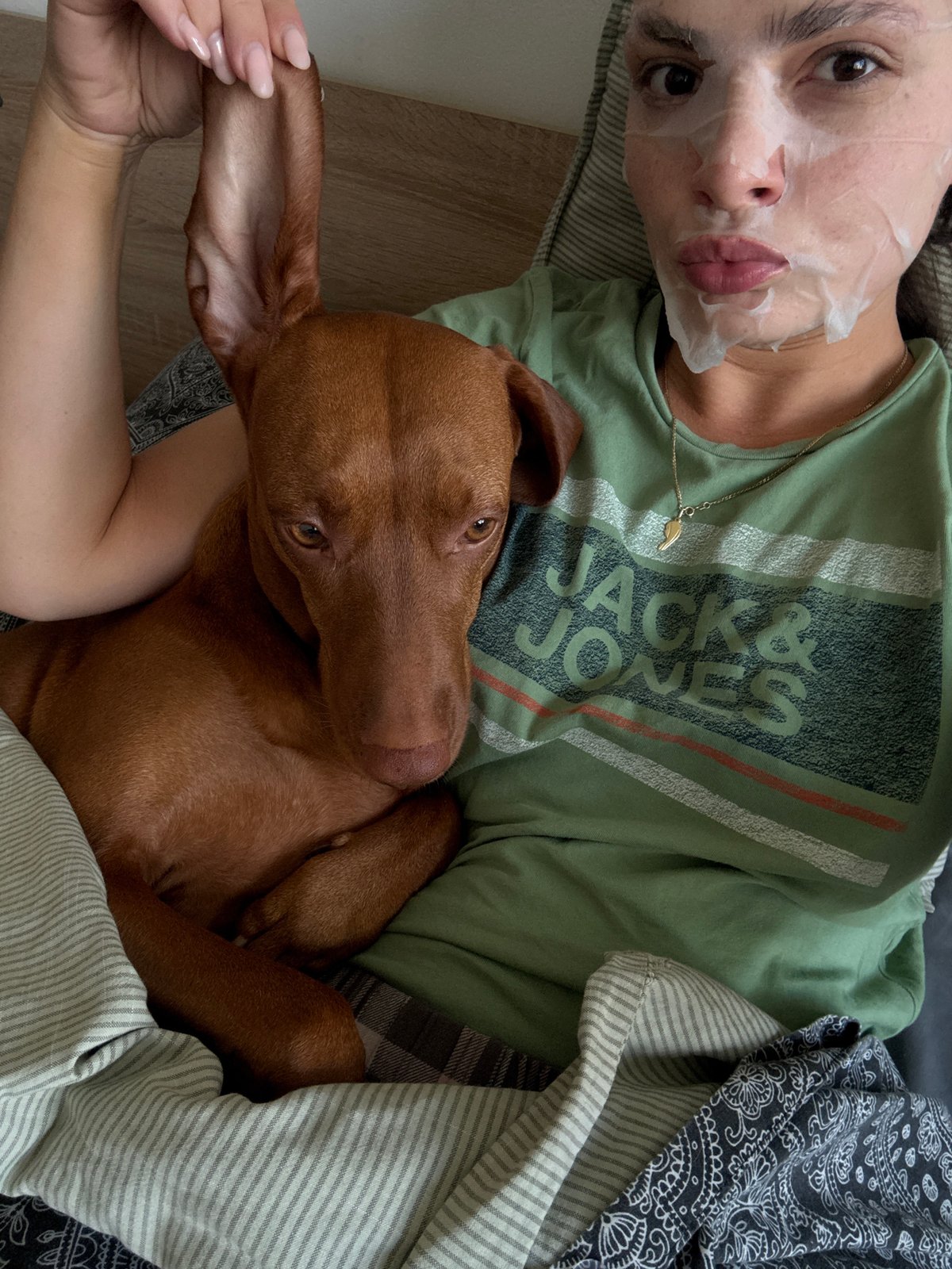 Person and Vizsla dog share quiet morning moment in Sofia