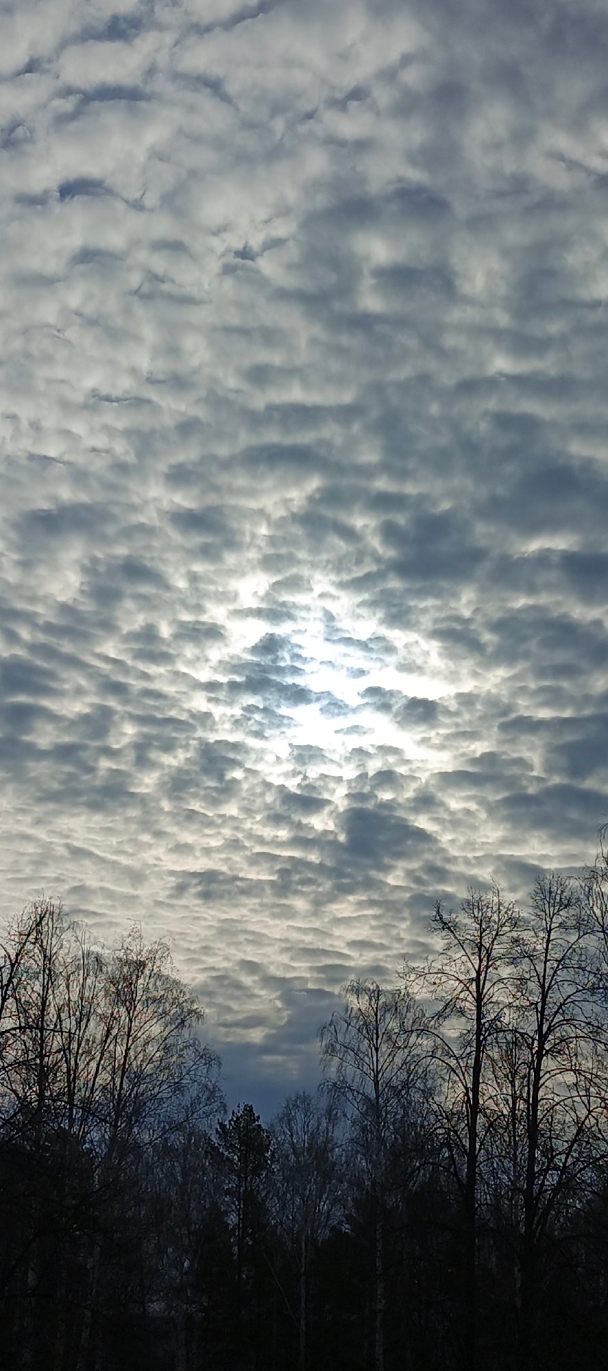 Cloudy dawn sky observed in Chaikovsky, Russia