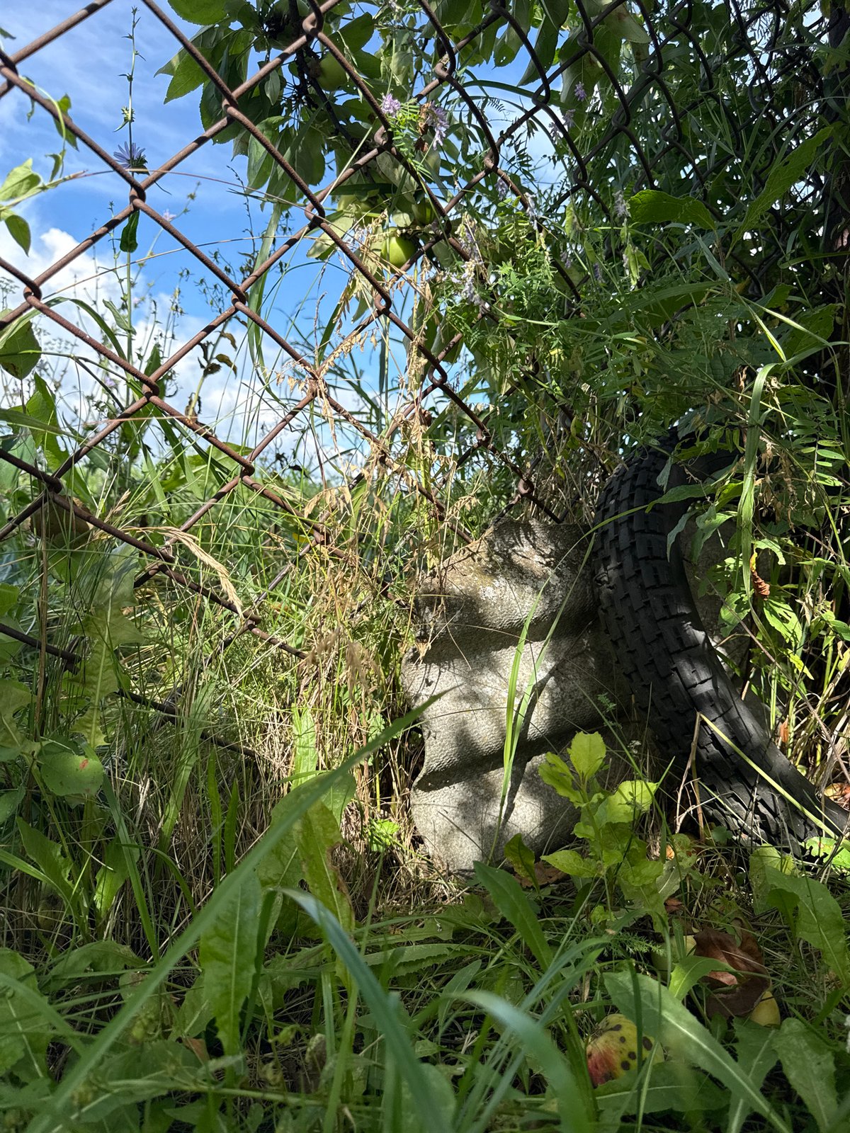 Apples, overgrown yard, and folk textiles in rural Russia