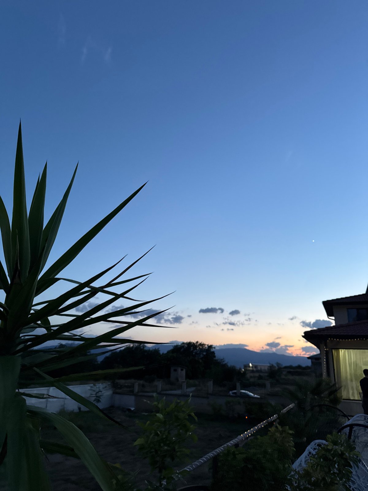Dusk on a Karlovo patio, yucca plants and hanging chairs