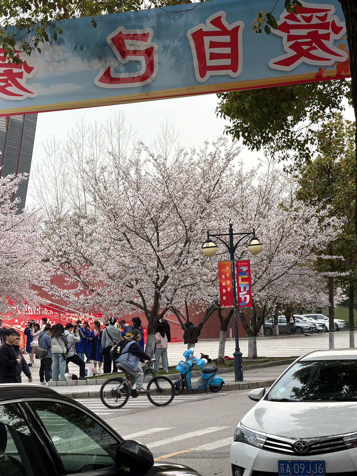 Spring scenes documented across Jiangning District during overcast morning