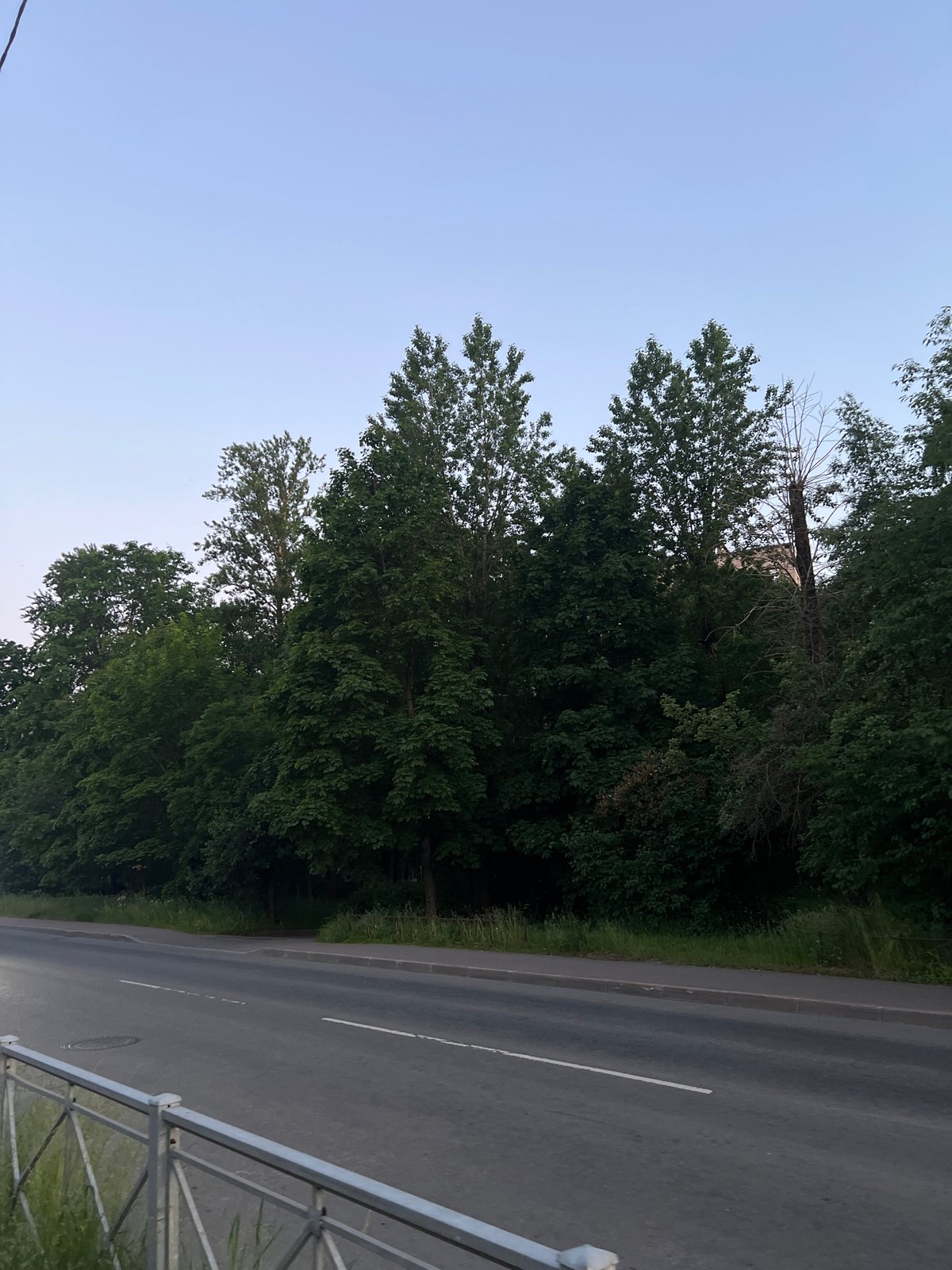 Witness documents twilight scenes across Saint Petersburg neighborhoods
