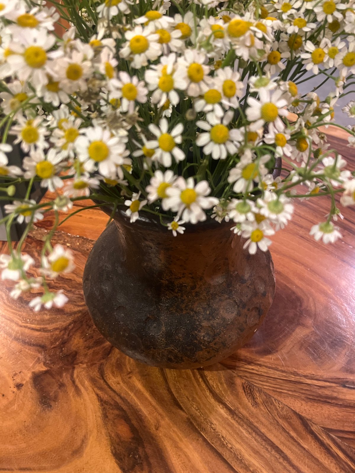 Flowers indoors, then out on the streets at night on two wheels.