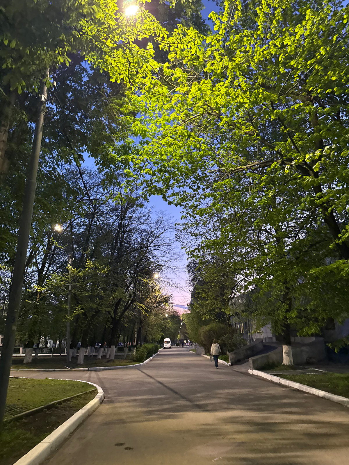 Evening street scenes documented in Rostov-on-Don parks