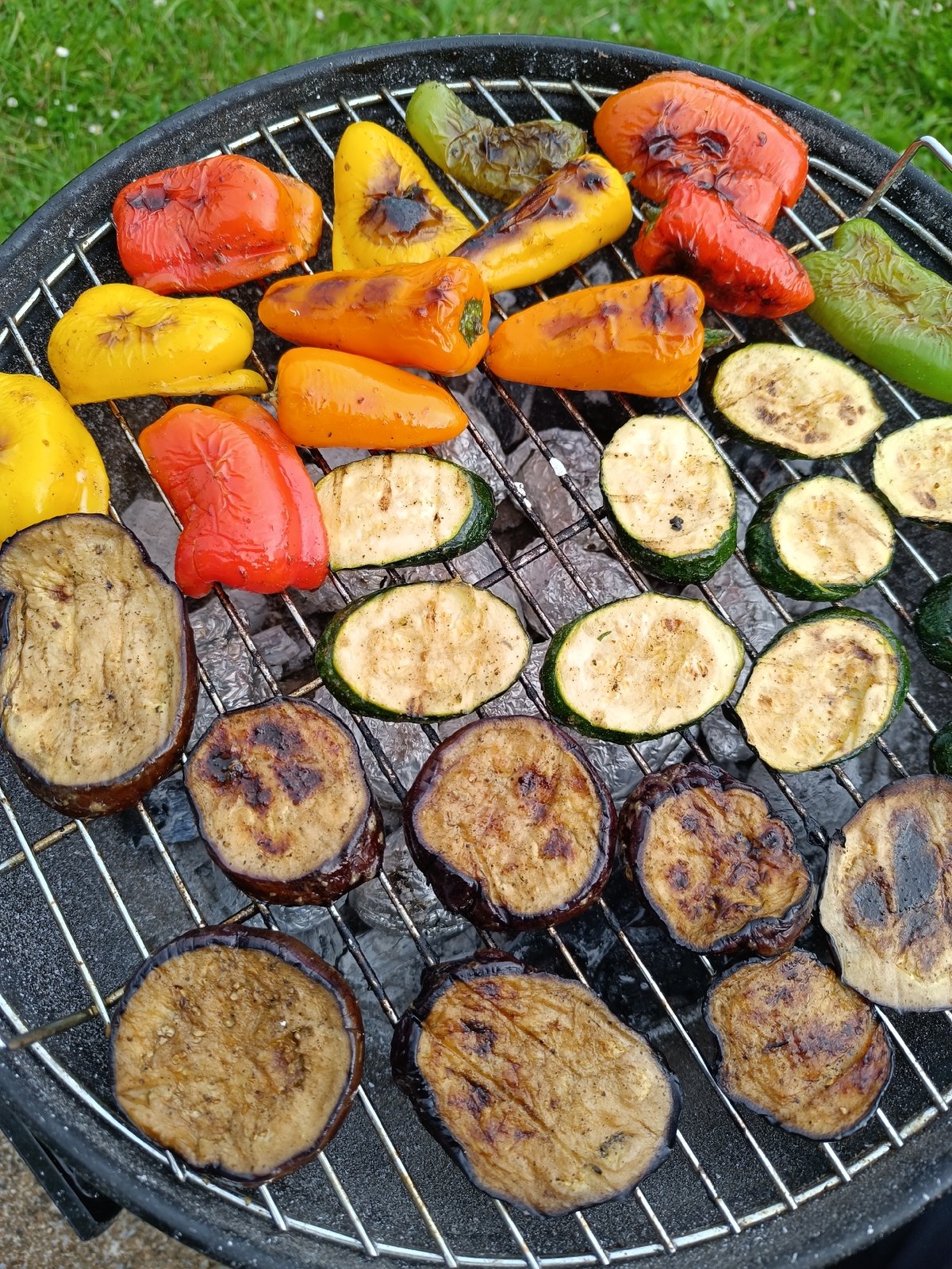 Mixed charcoal grill with skewered meat and fresh vegetables